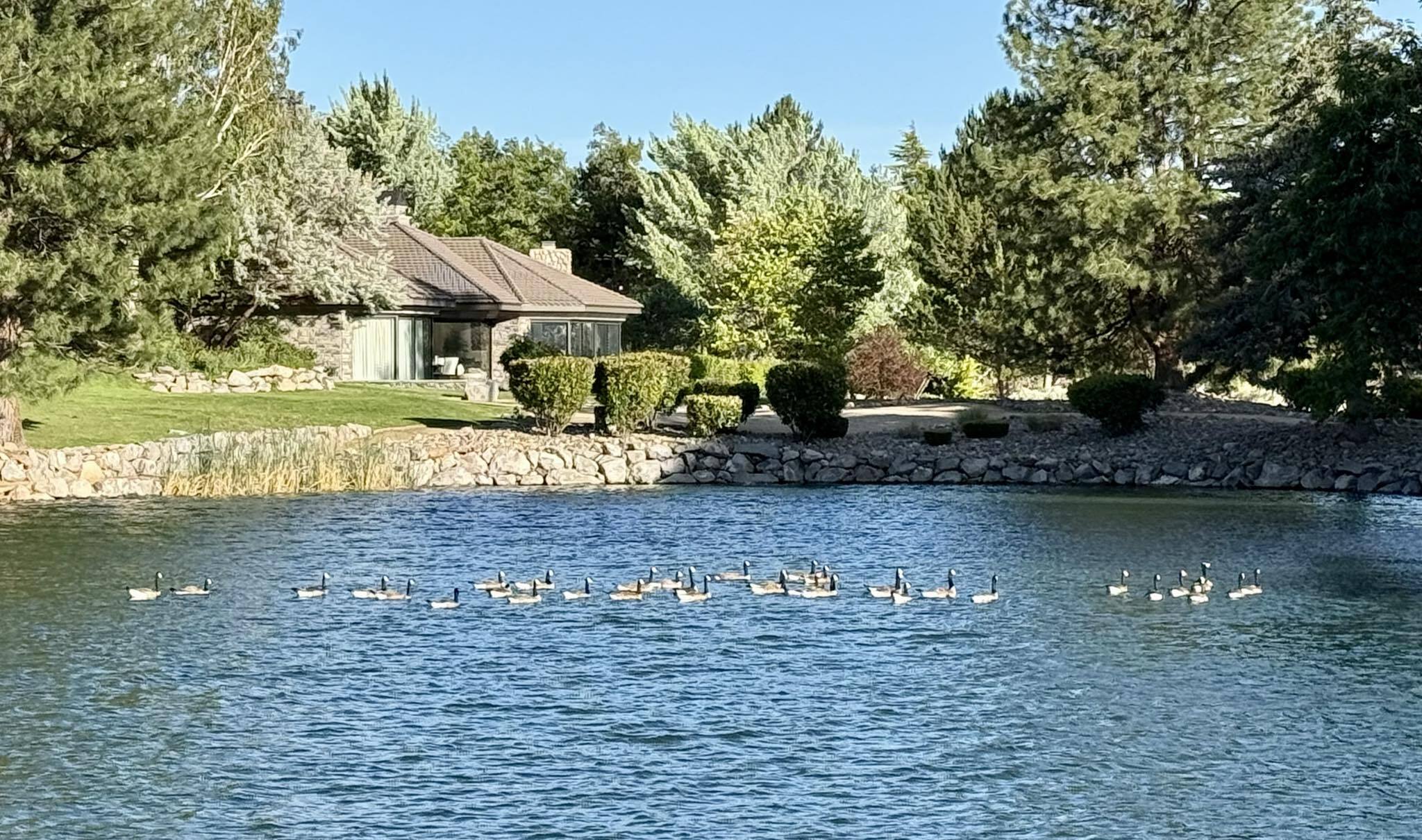Photo provided by Aaron Borrelli, Lakeridge Shores resident, taken on Lake Stanley