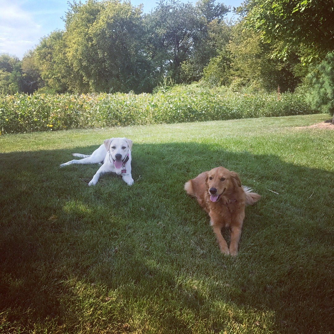Bailey with her friend Maggie.