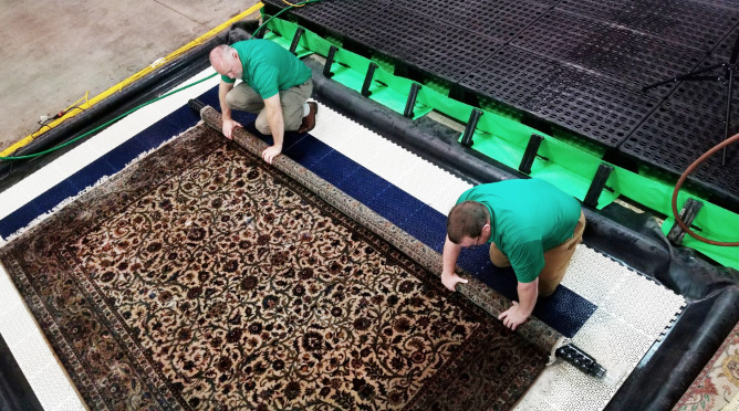 Technicians treating area rug