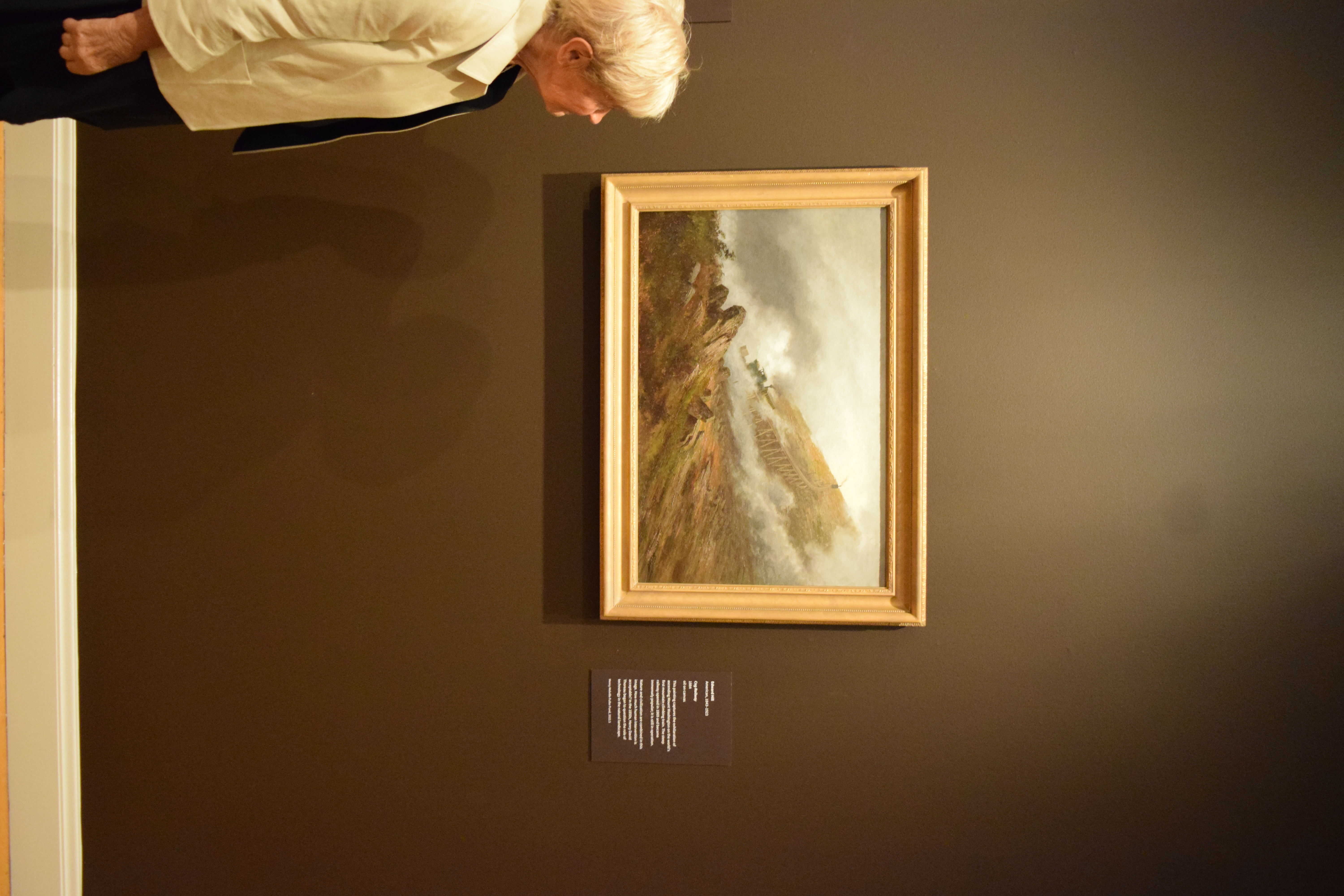 Muriel and Cog Railway