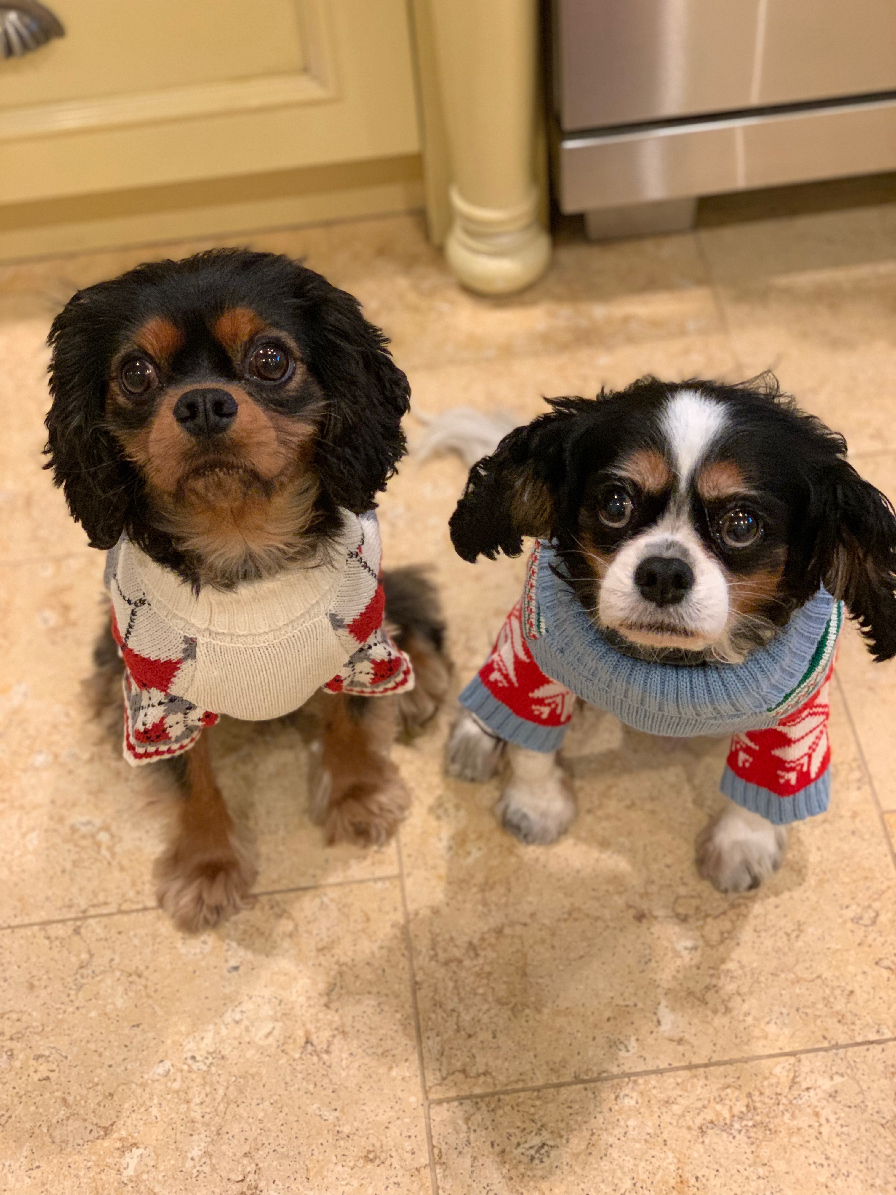 Leo with his cousin Oliver