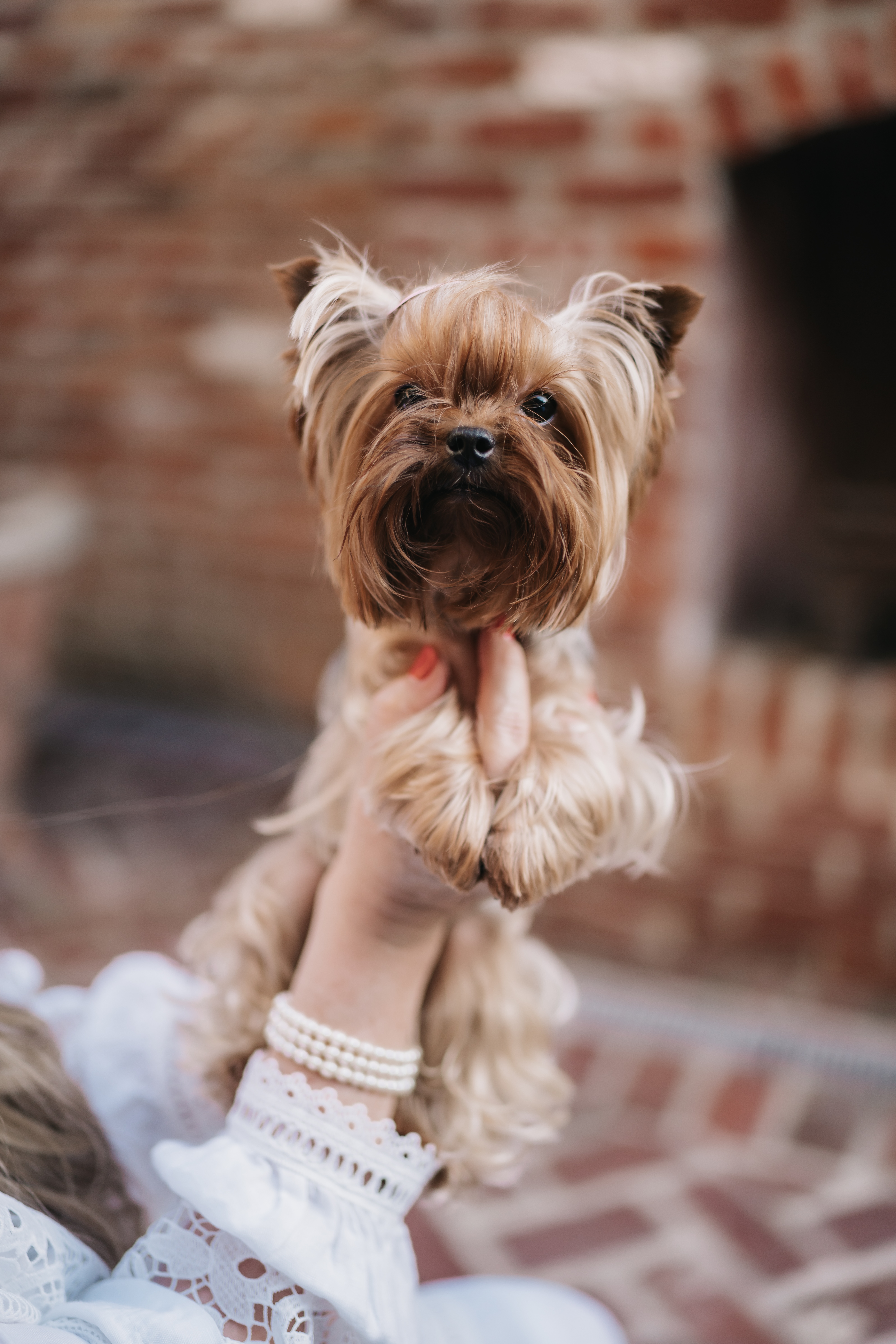 Photo by Wesley Sun Chee Fore