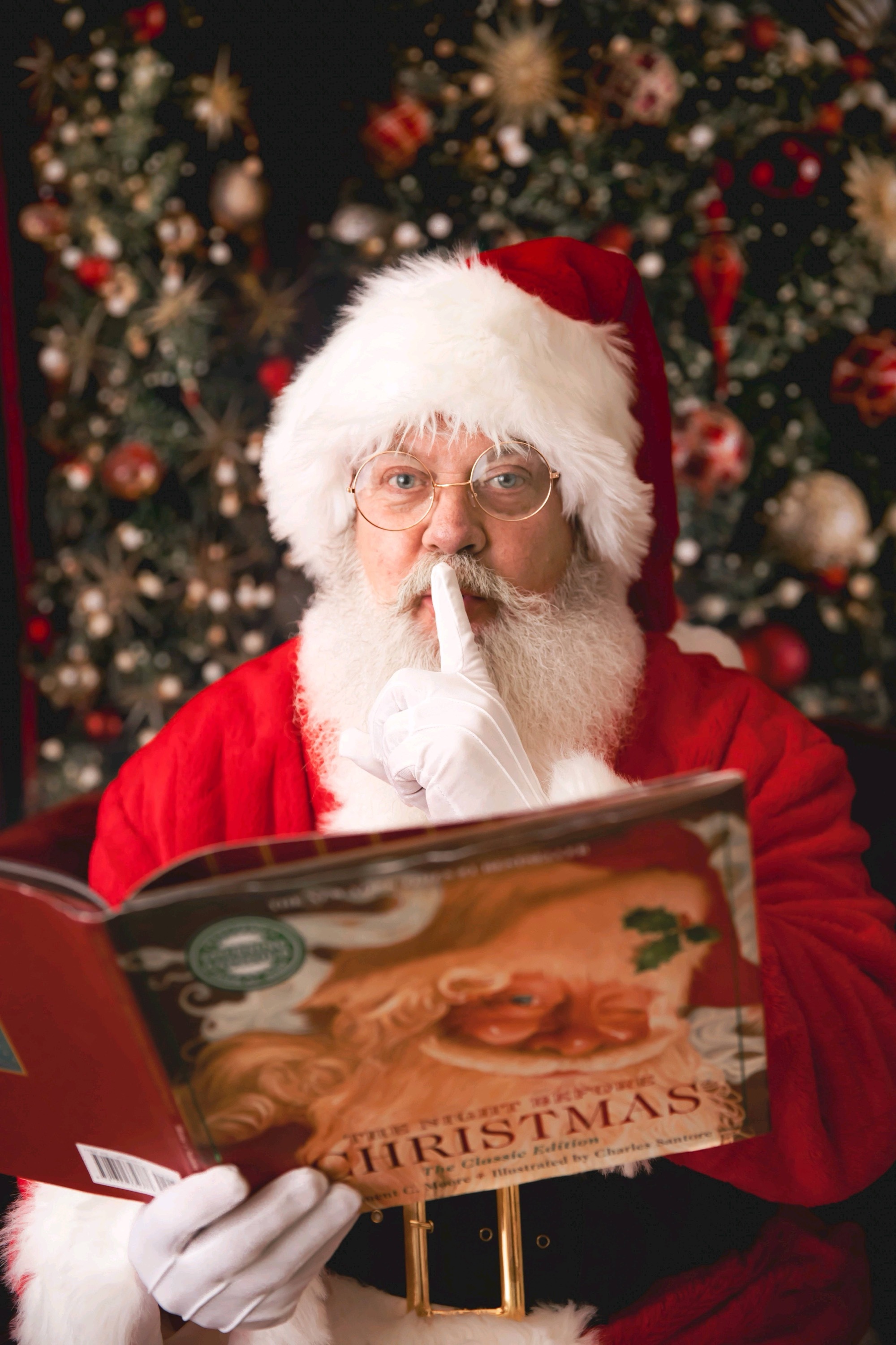 FREE photos with Santa!