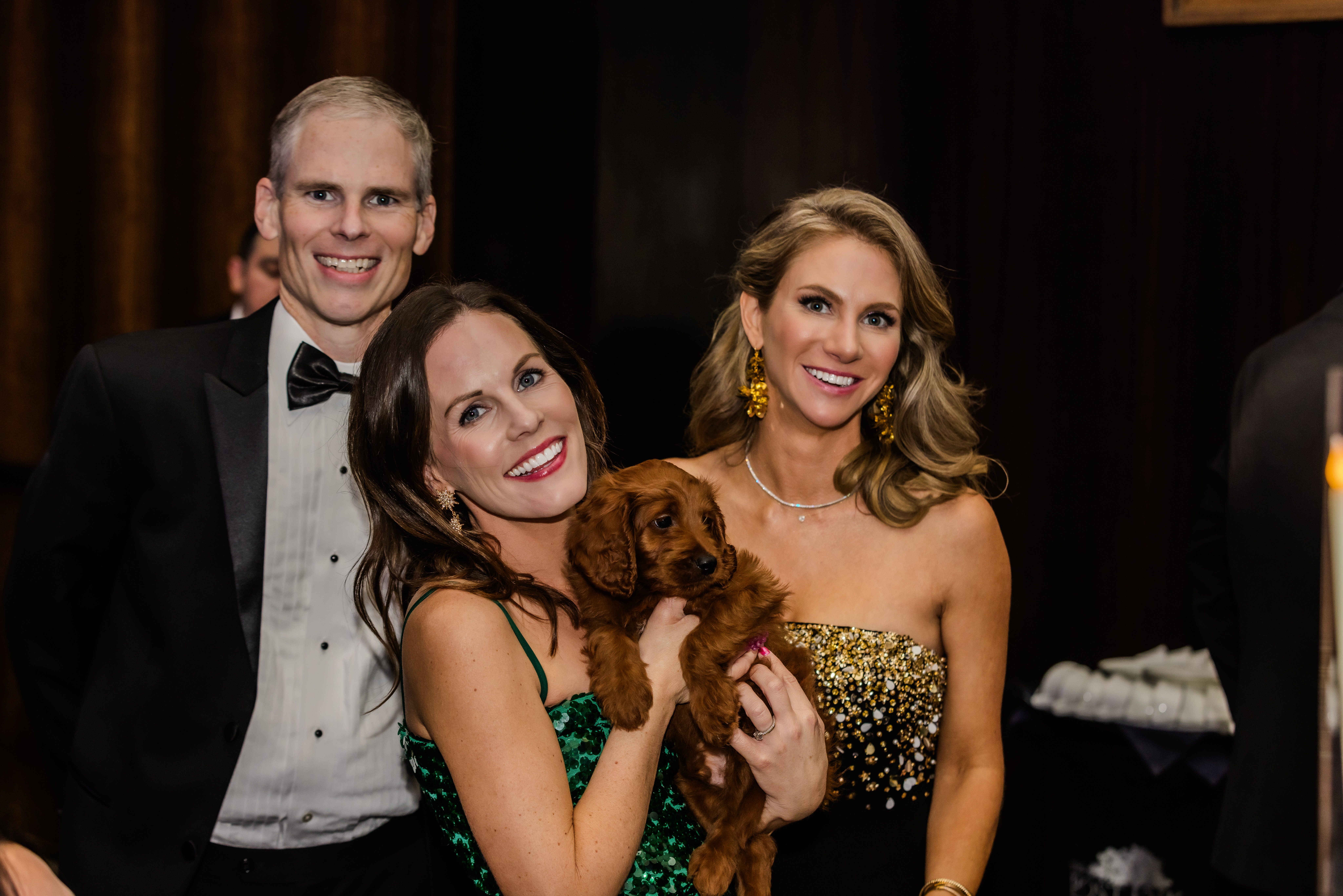 Auction Puppy from 2025