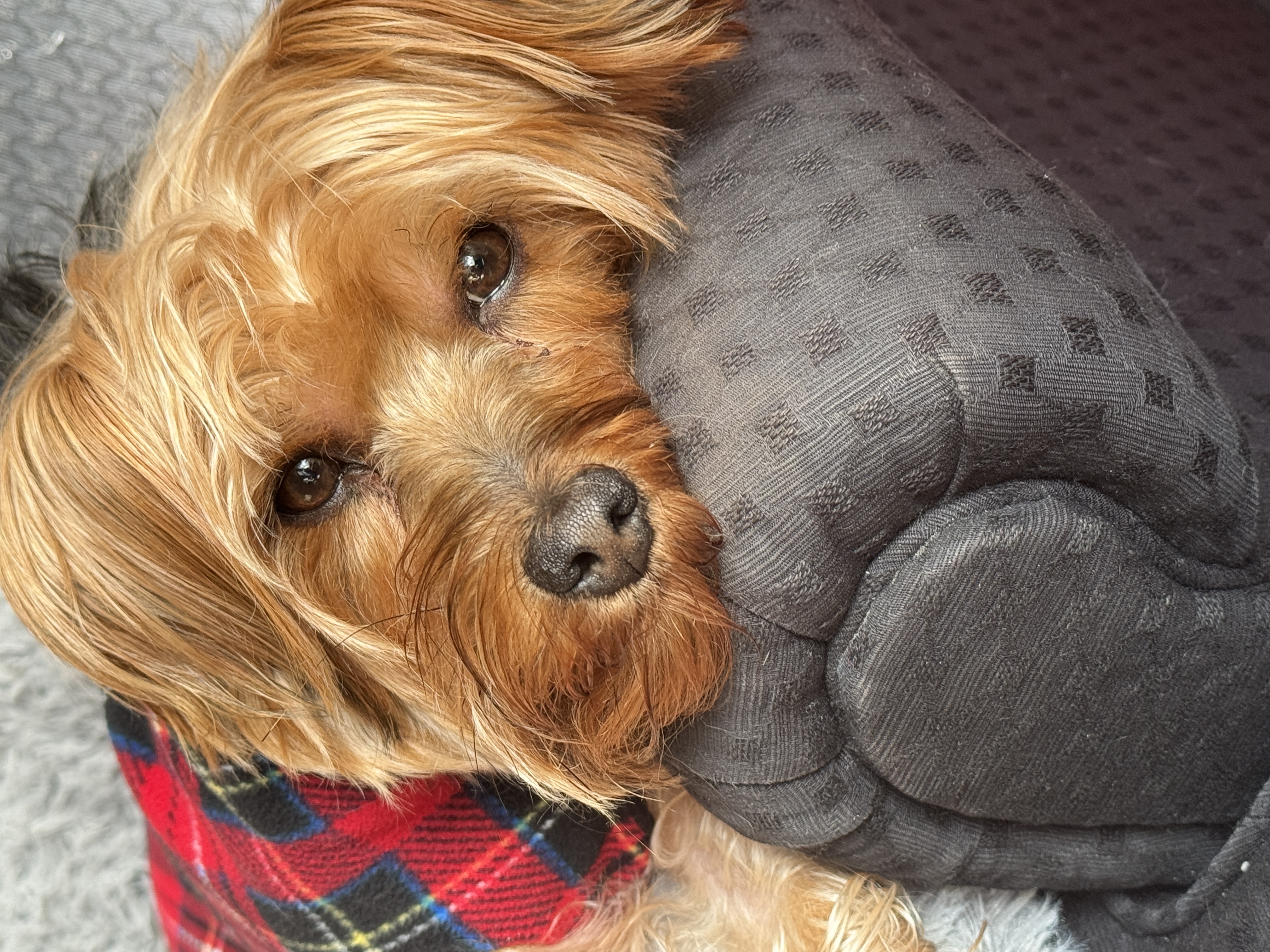 I'll just shut my eyes a sec...keep talking..