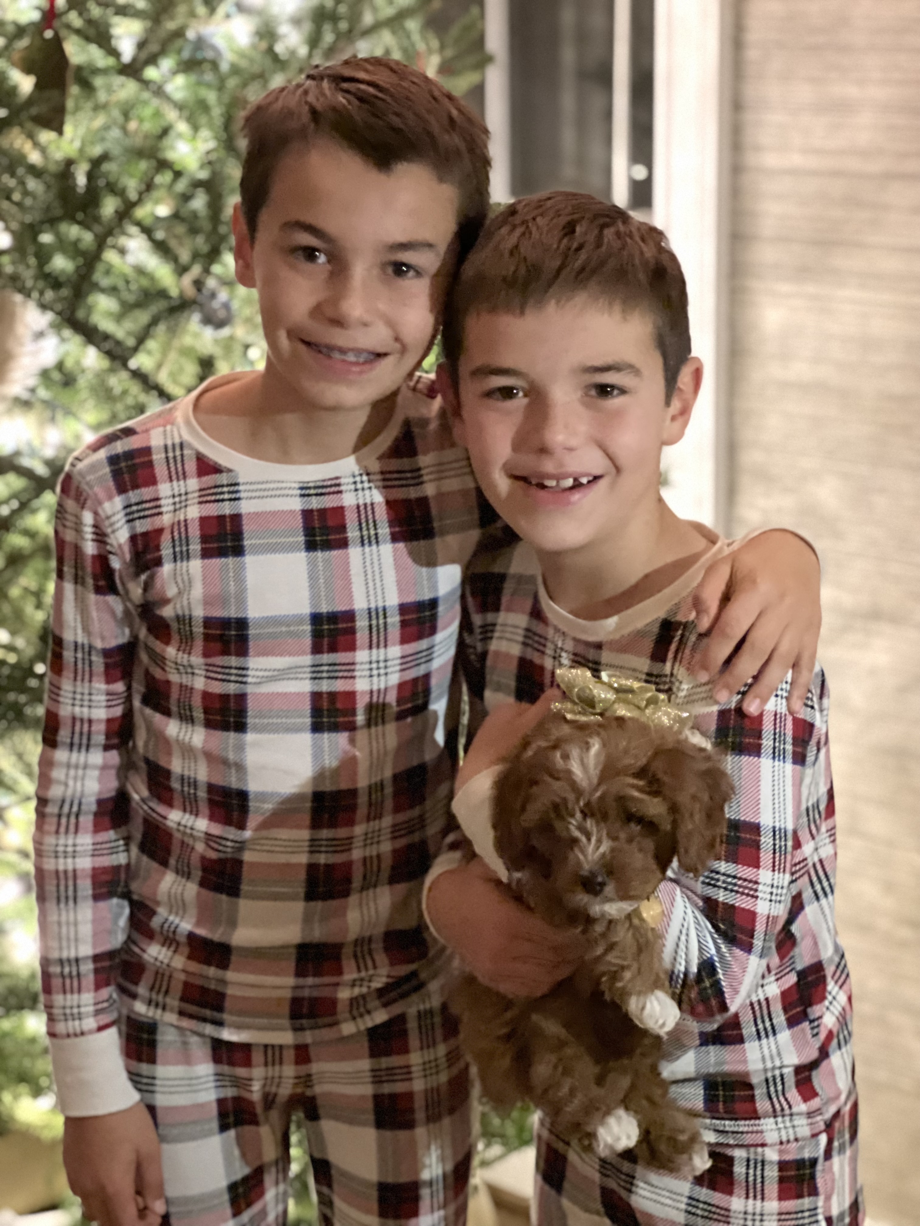 Maxwell & Nolan pictured with Dudley when they were 10 and 8. The brothers are now 14 and 12.