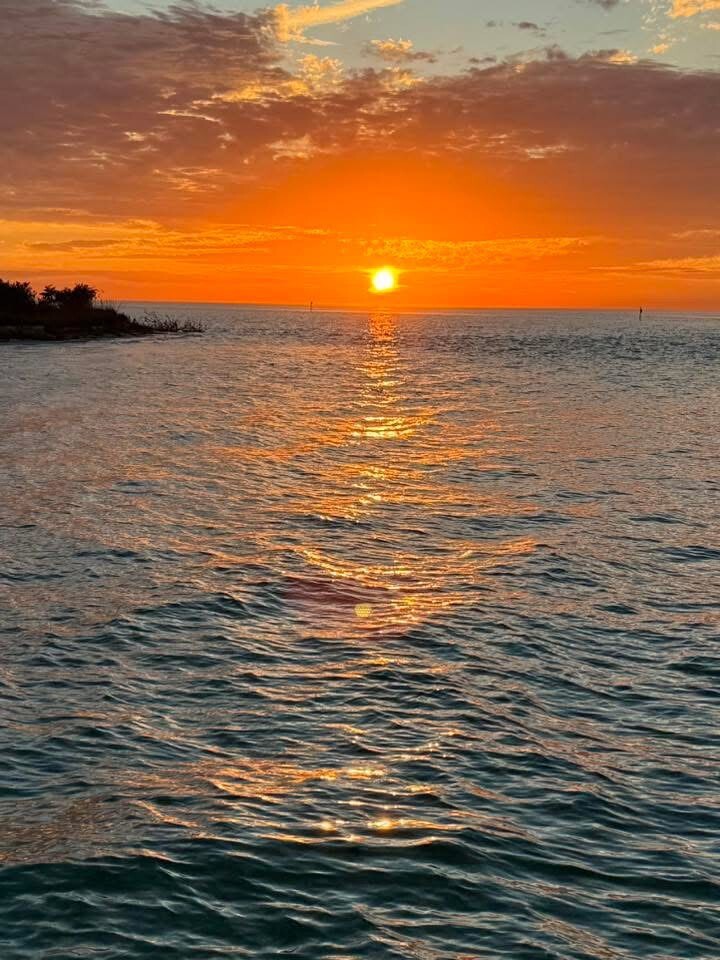 Photo by Bill Oberon