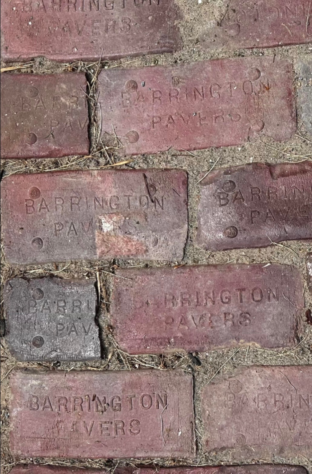 Patio pavers from the Barrington Steam Brick Company.
