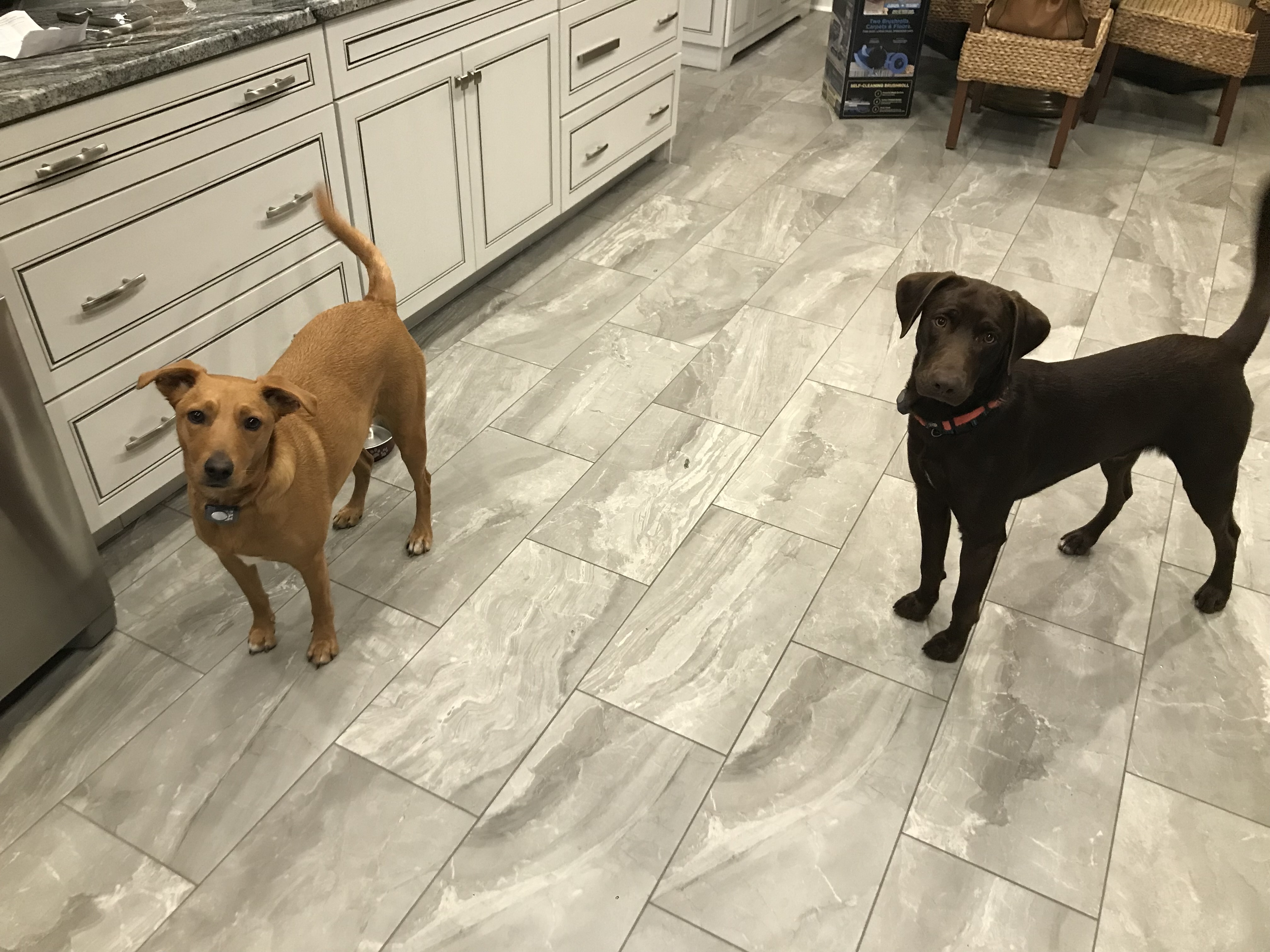 Life is short, spoil your rescues!