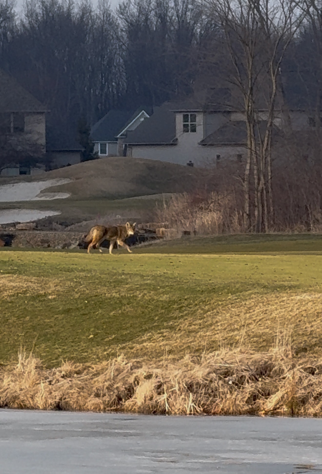 Photo credit: Mike Matlock