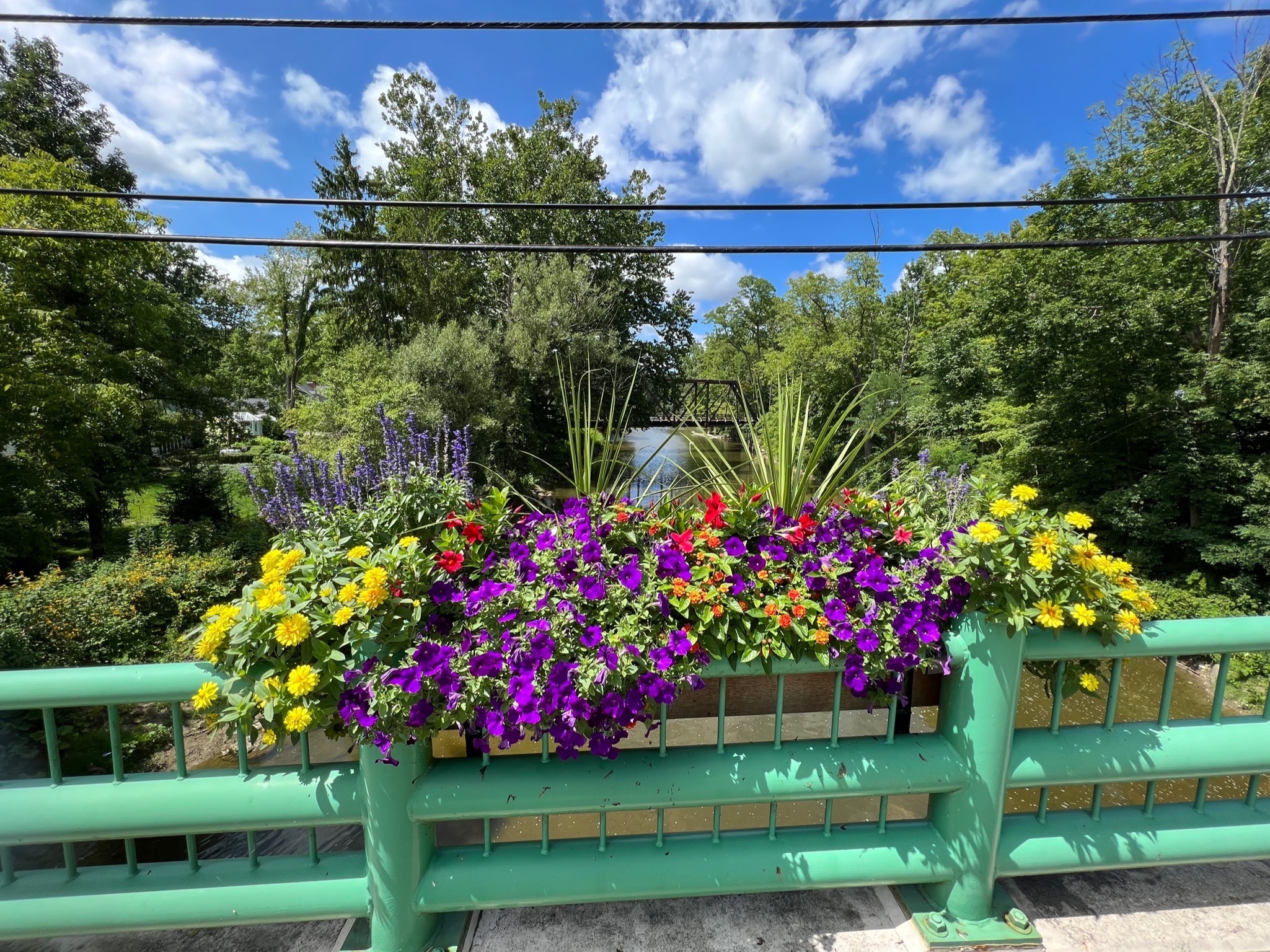 Beautiful Bridge Box in Bloom!