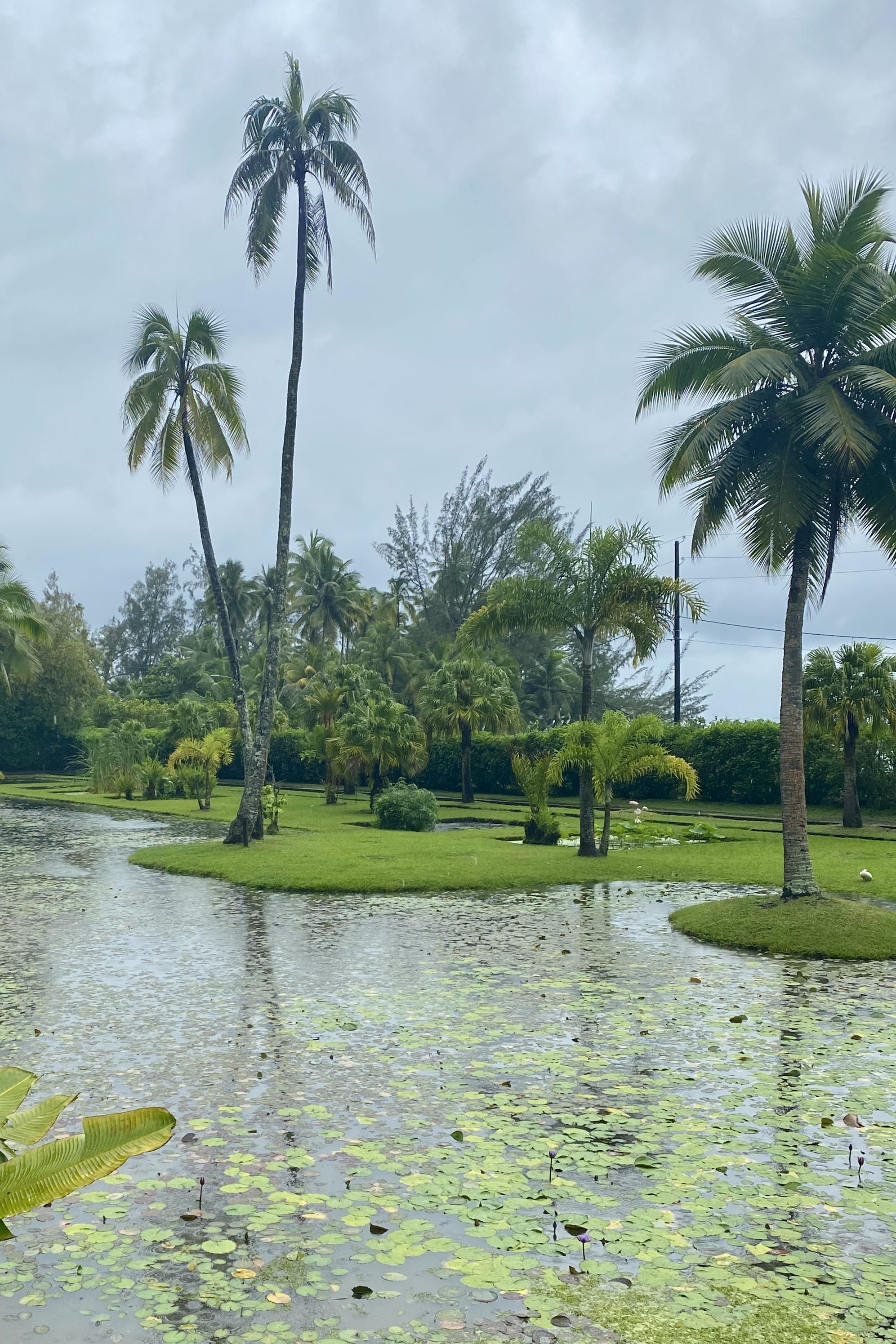 Beautiful Tahiti