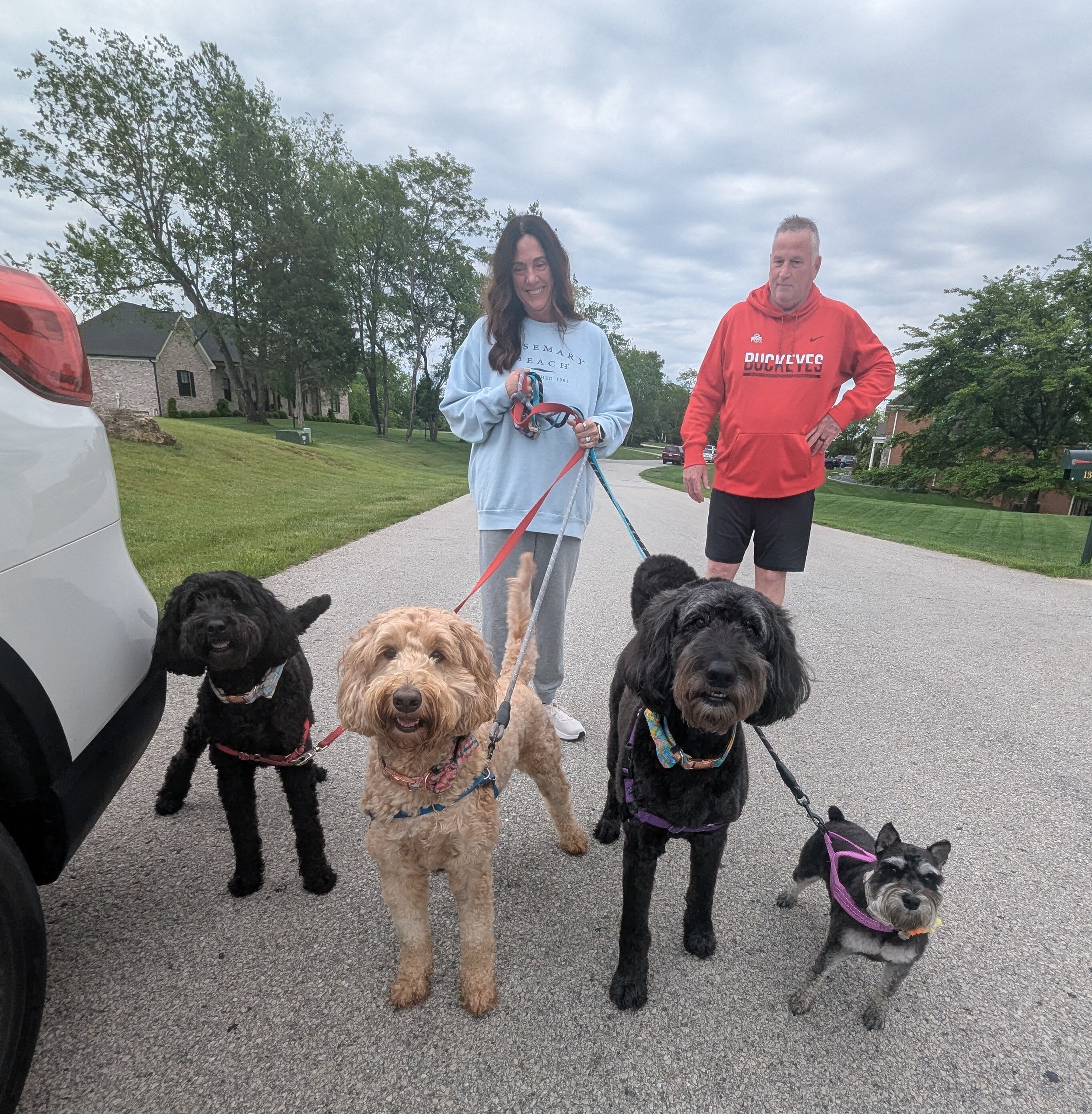 The Heareths were out walking their pack of pups early during the yard sale.