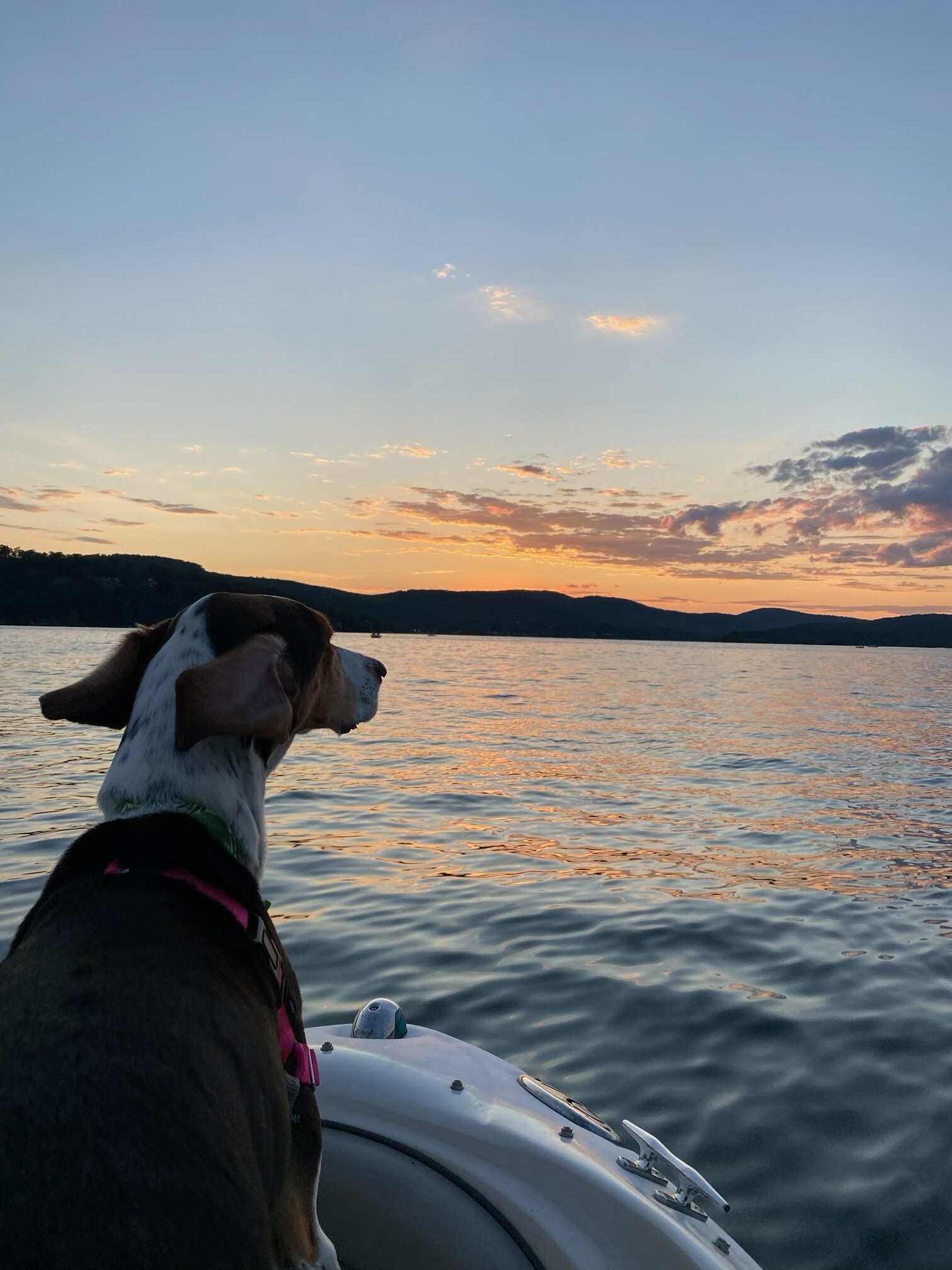 Emma enjoying a beautiful view.