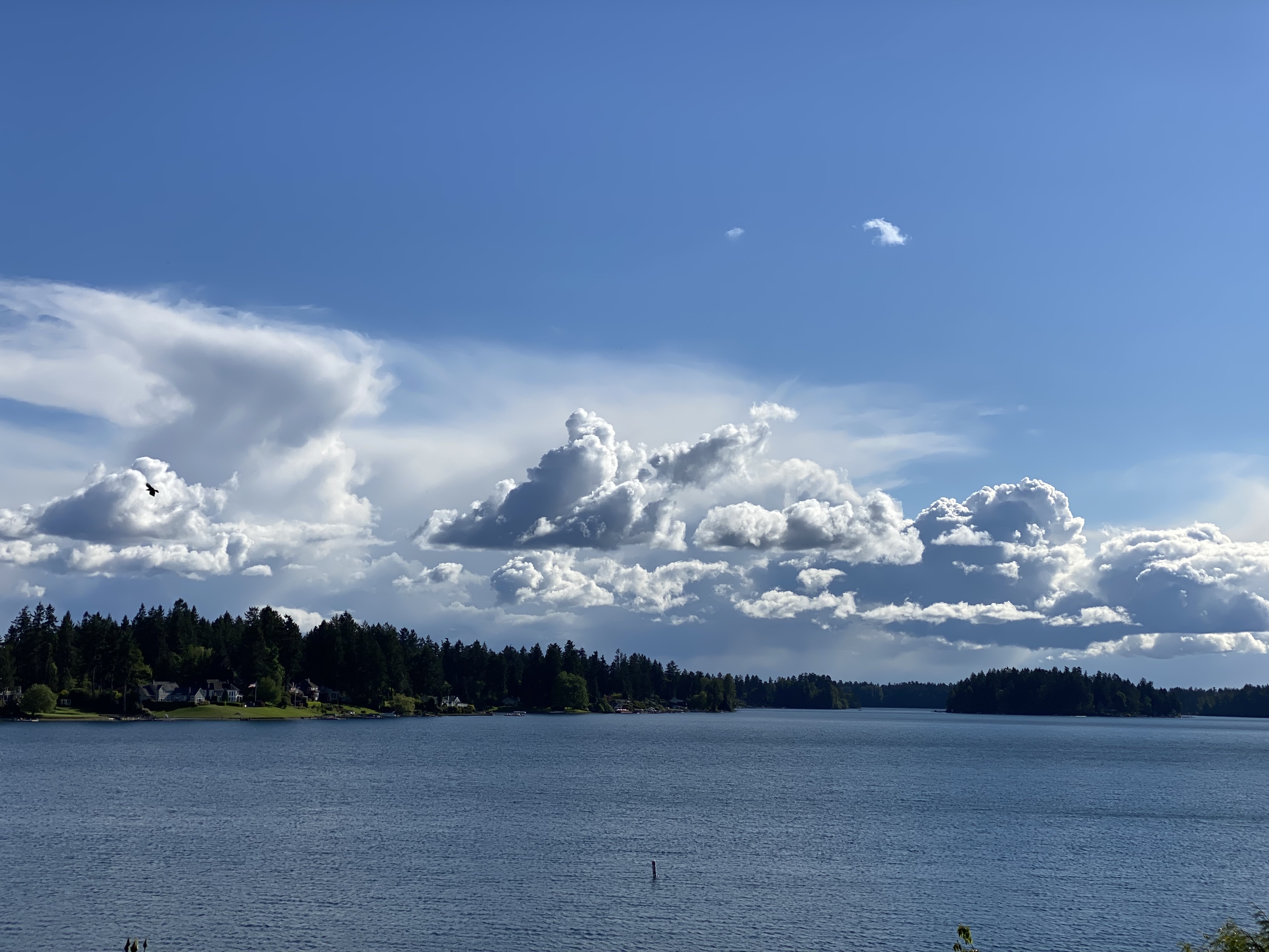 Photography by resident Skip Hayes
