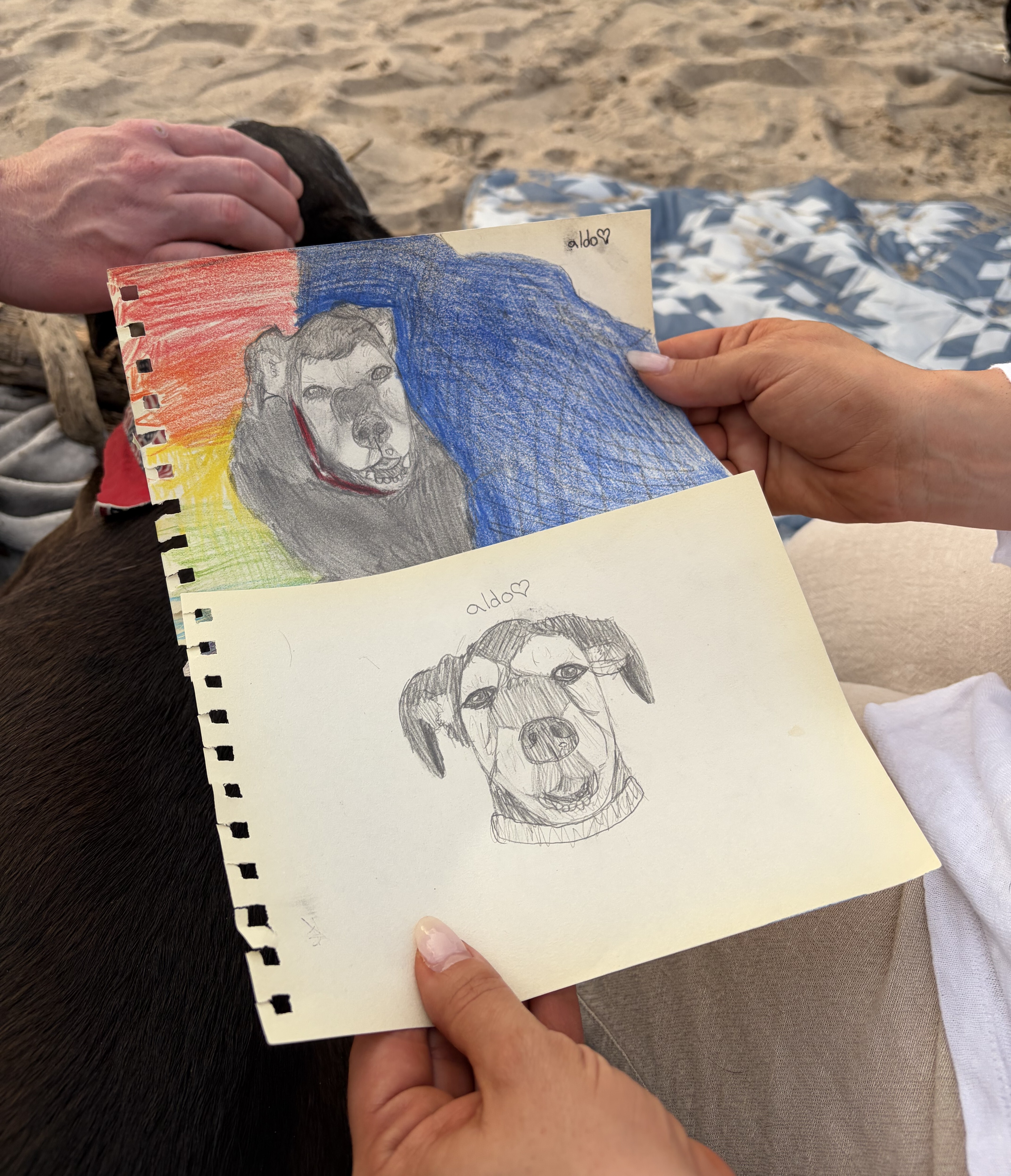 Someone thoughtfully gifted Allie two beautiful sketches of Aldo.