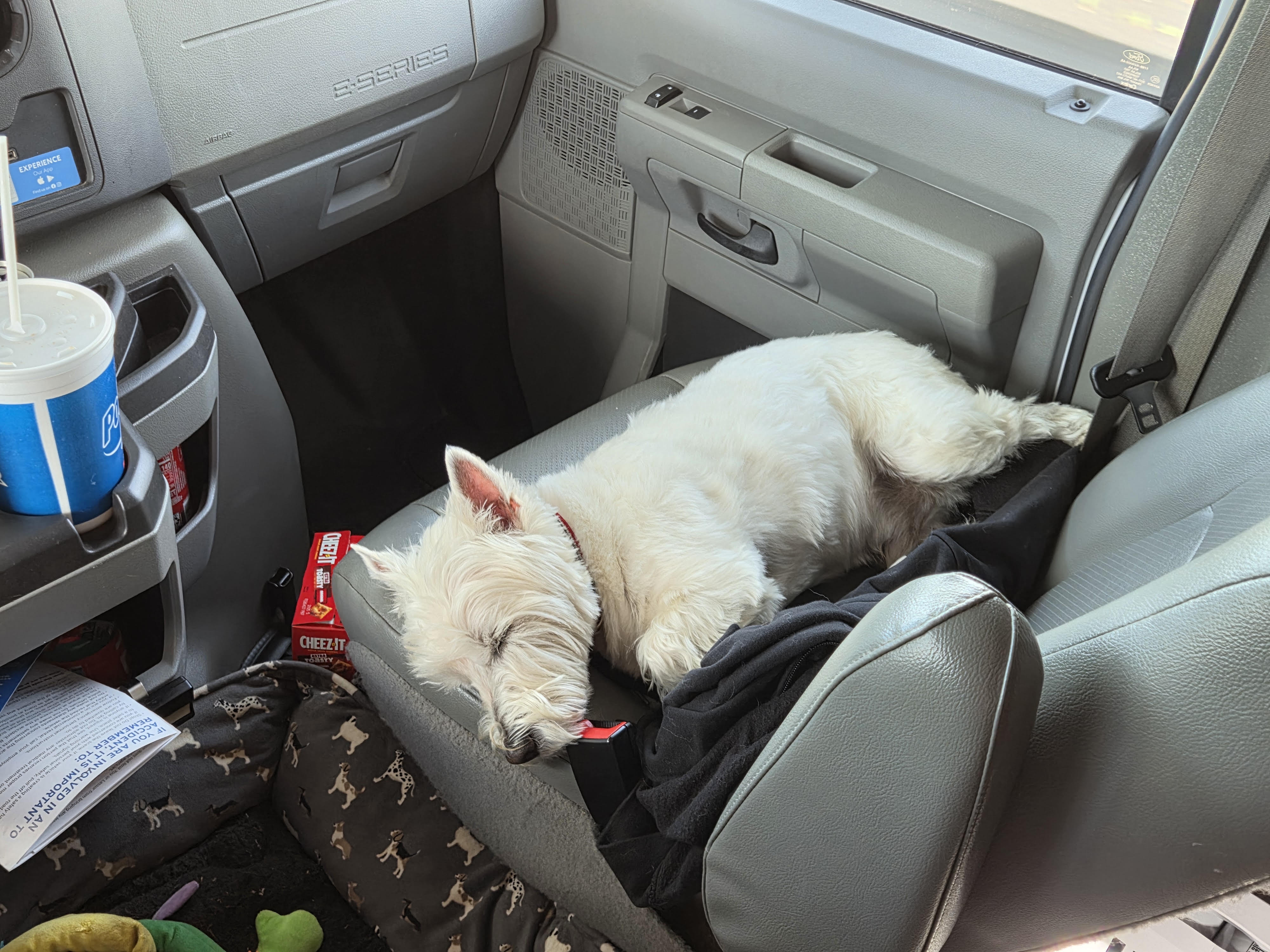 Best co-pilot around!