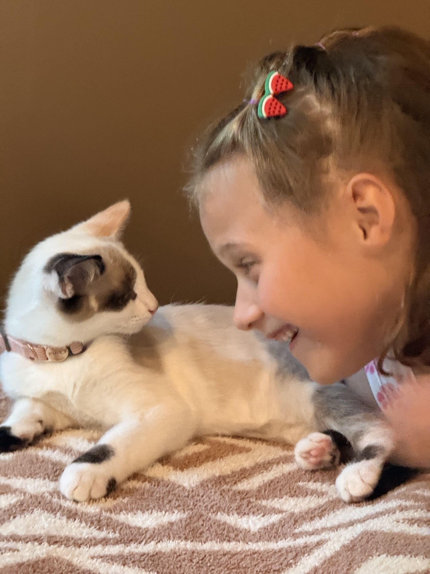 Poppy and a foster kitten