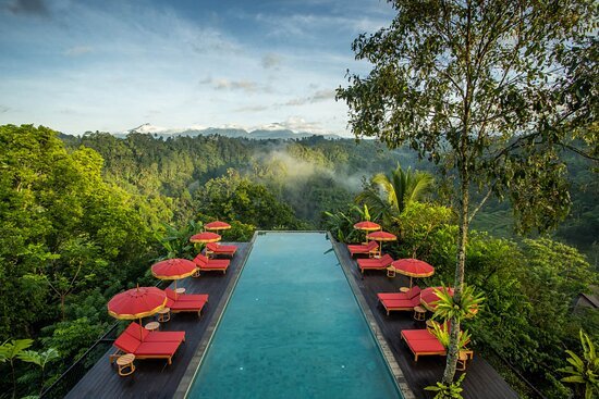 Buahan- main infinity pool