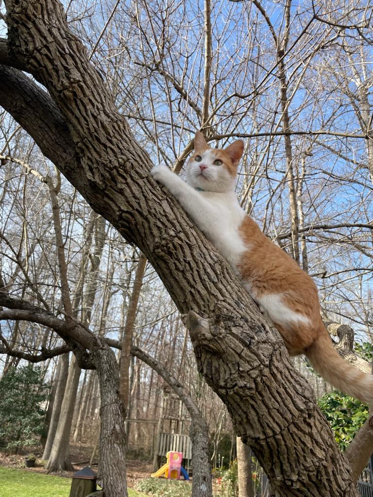 Stroll Magazine Running Man Yorktown, VA