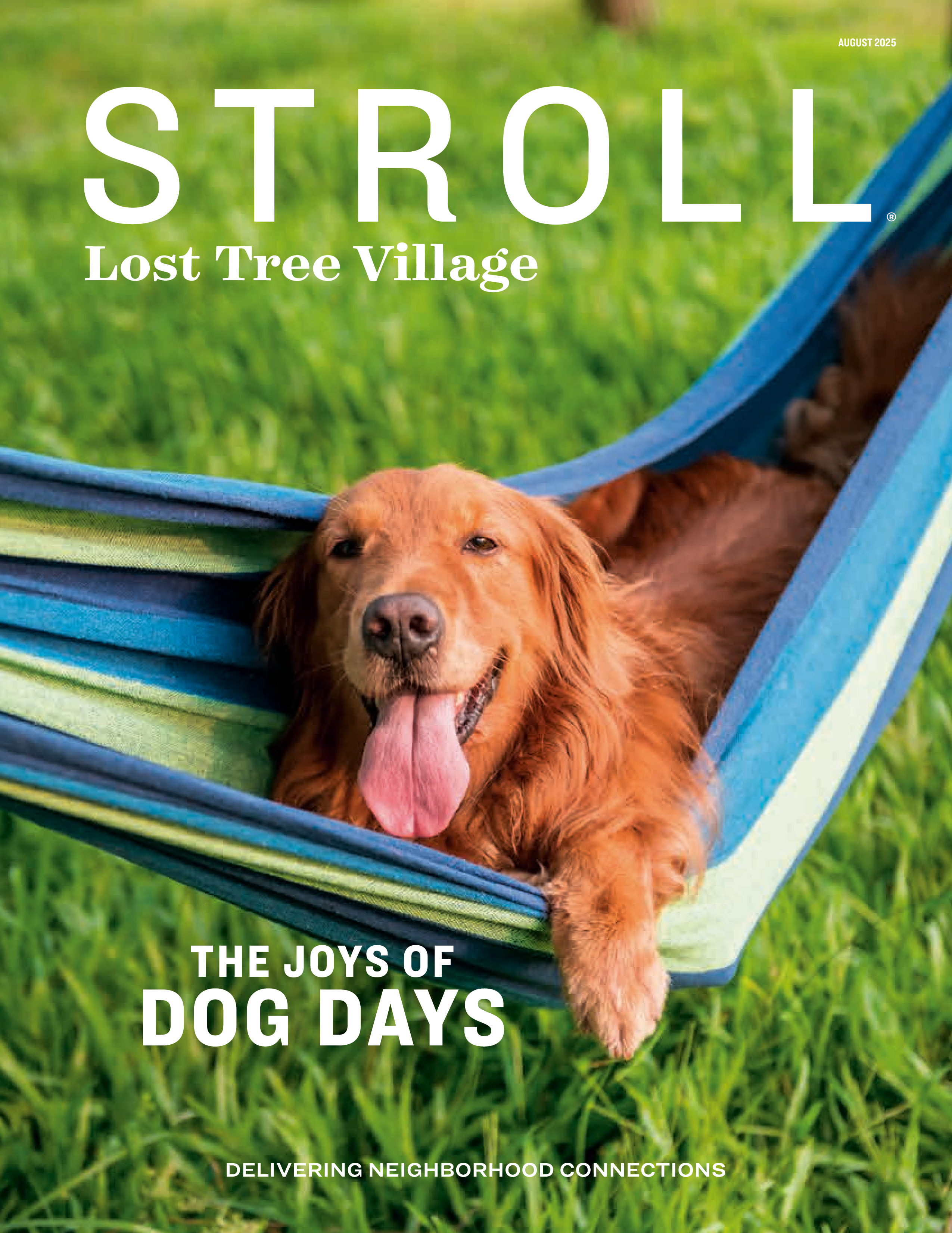 Stroll Lost Tree Village 2025-08-01