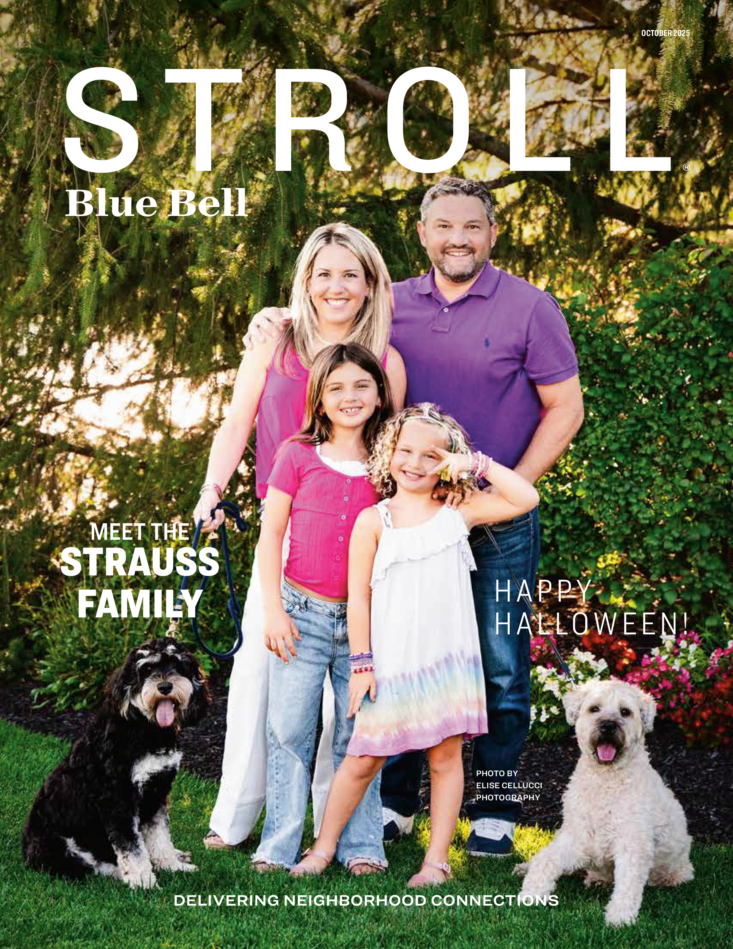 Stroll Blue Bell 2025-10-01
