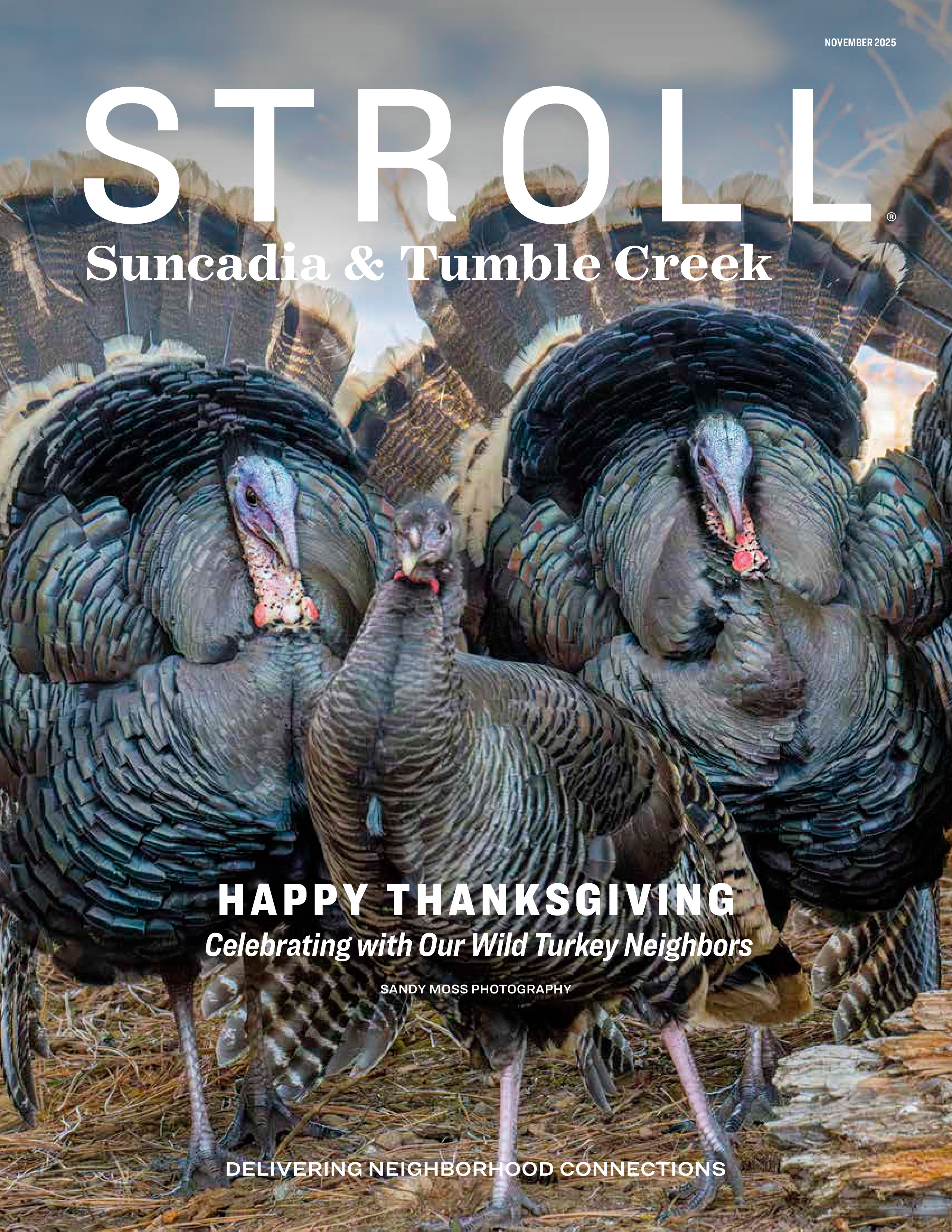 Stroll Suncadia & Tumble Creek 2025-11-01