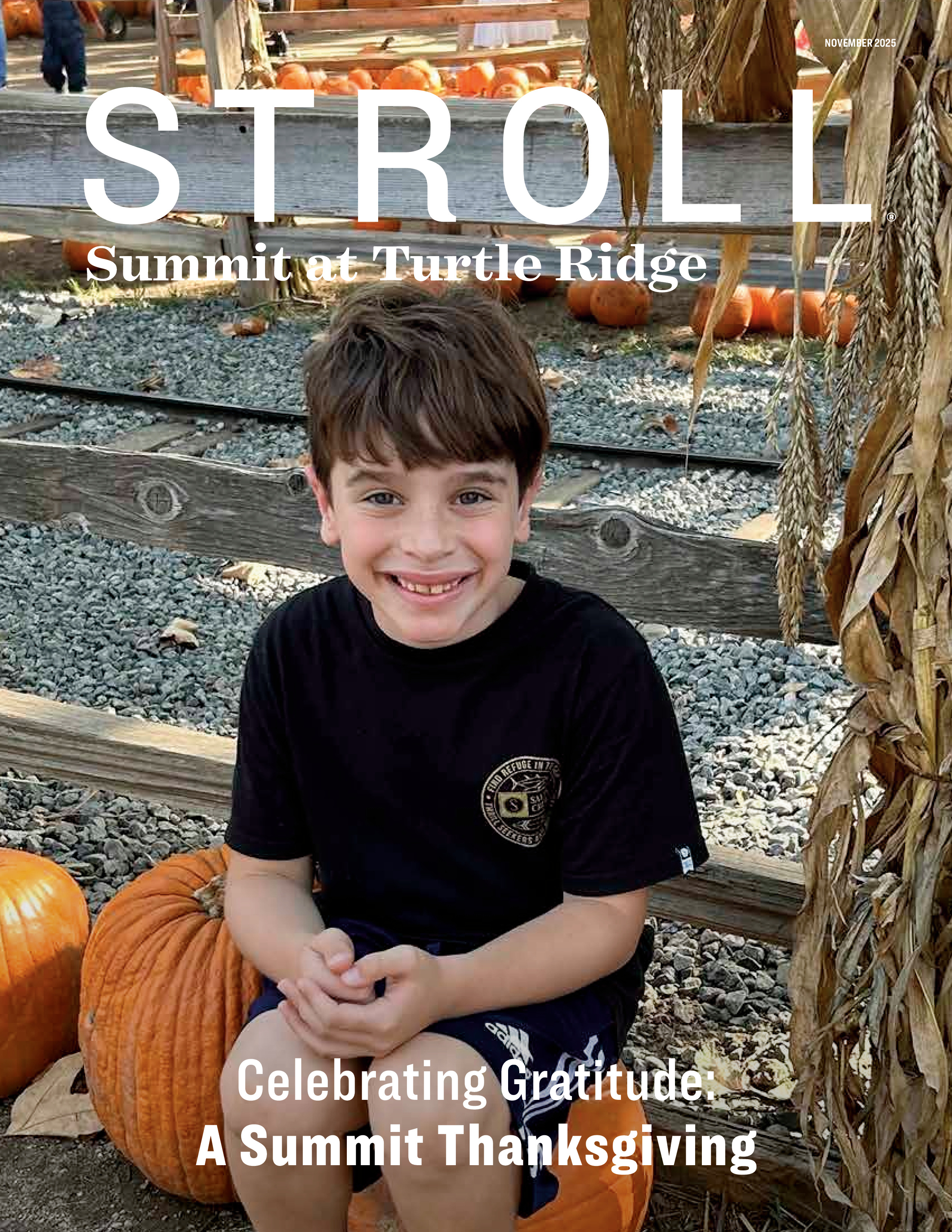 Stroll Summit at Turtle Ridge 2025-11-01