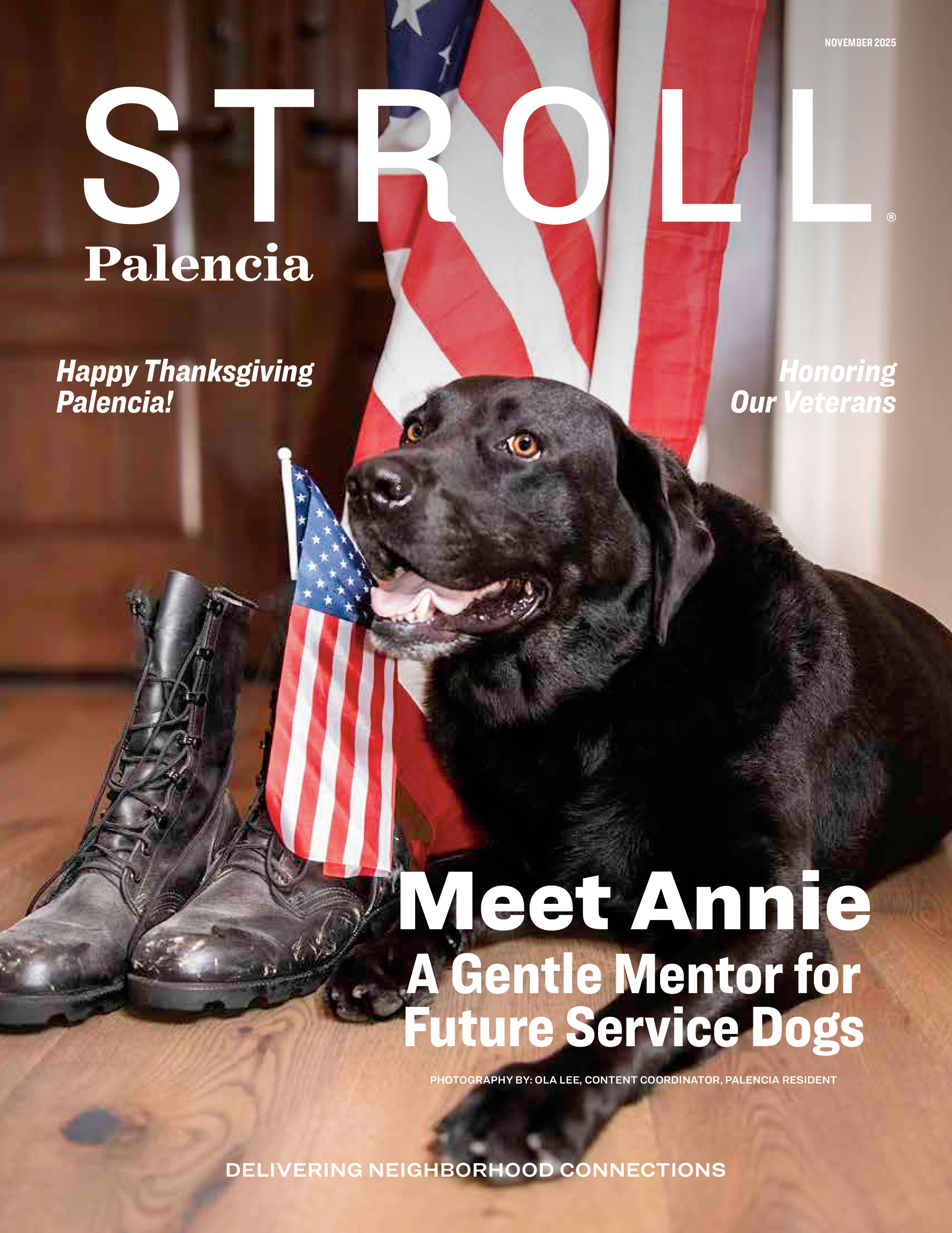 Stroll Palencia 2025-11-01