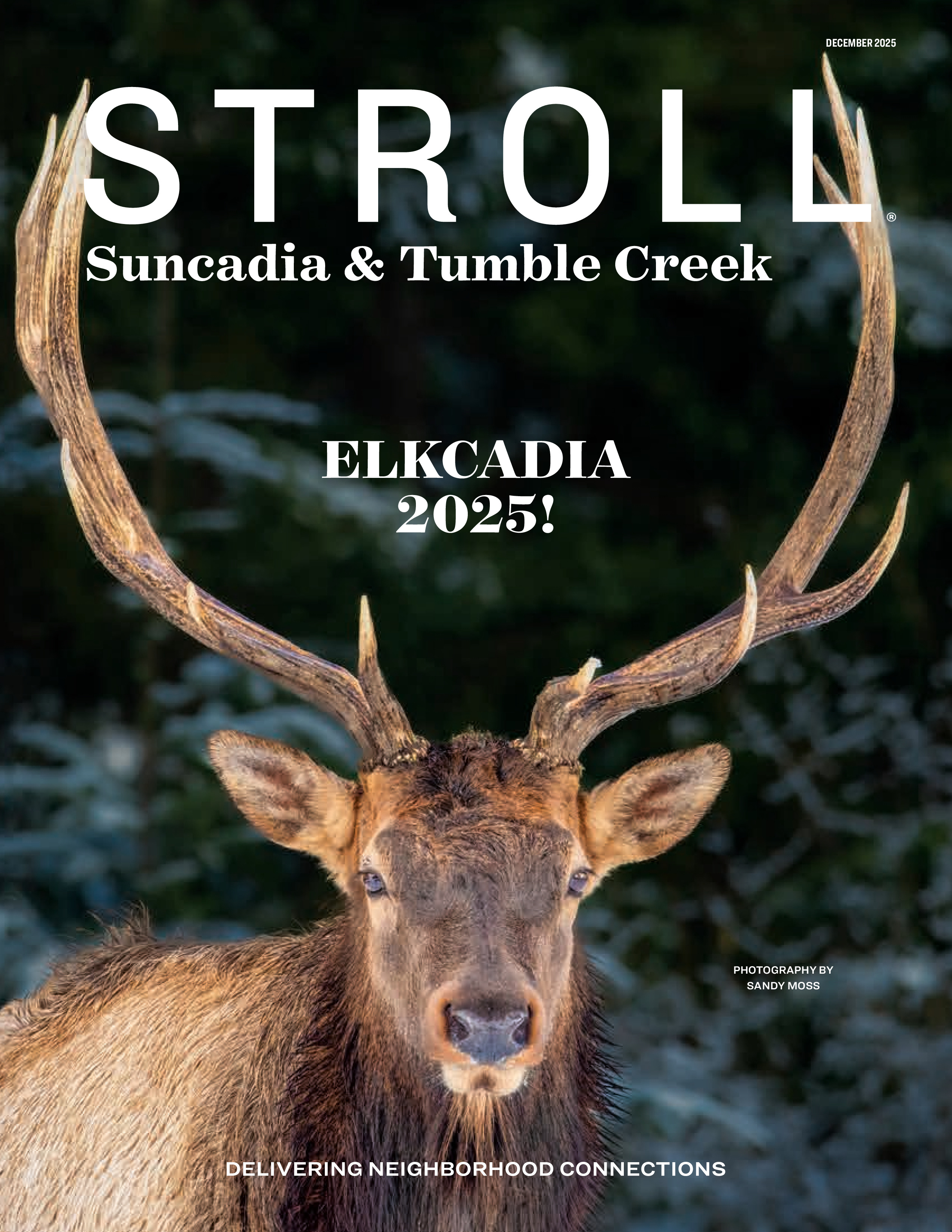 Stroll Suncadia & Tumble Creek 2025-12-01