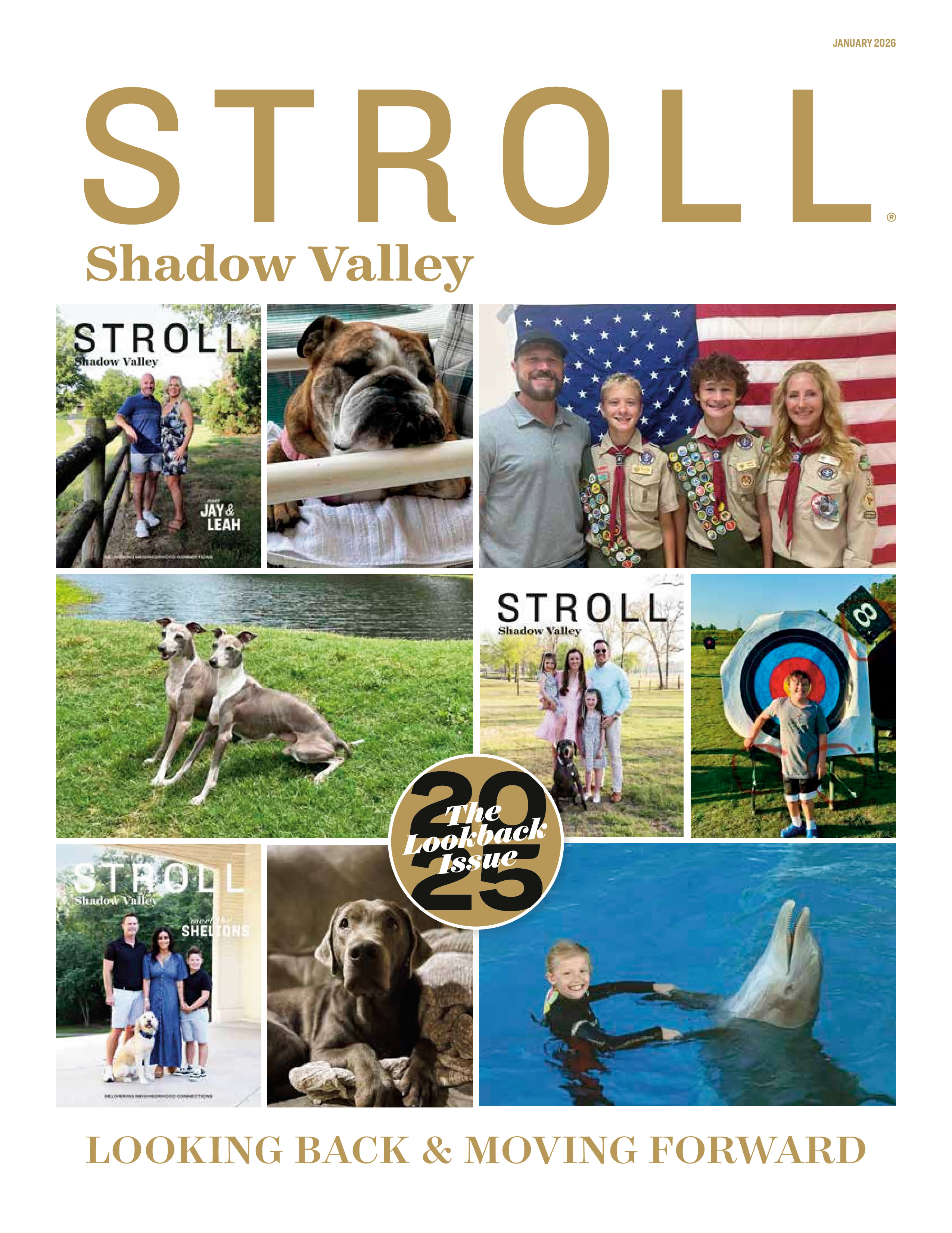 Stroll Shadow Valley 2026-01-01