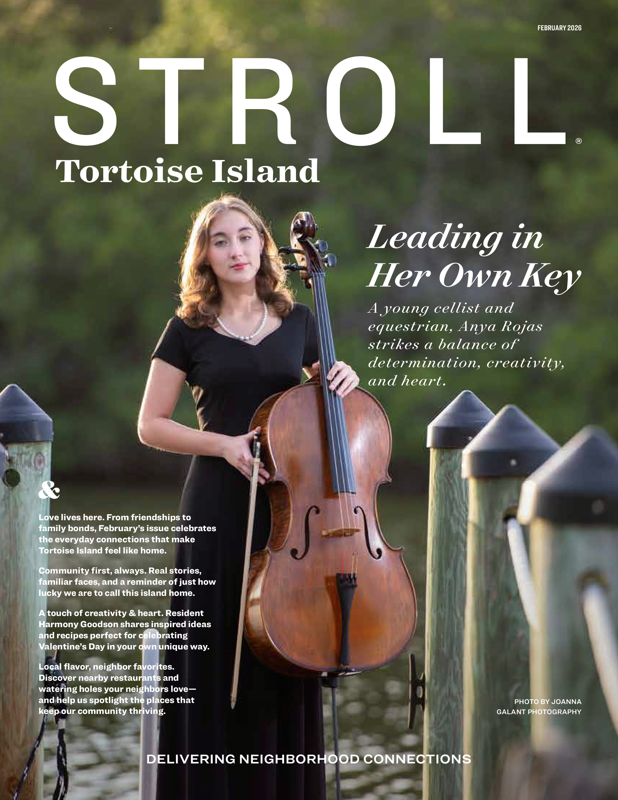 Stroll Tortoise Island 2026-02-01