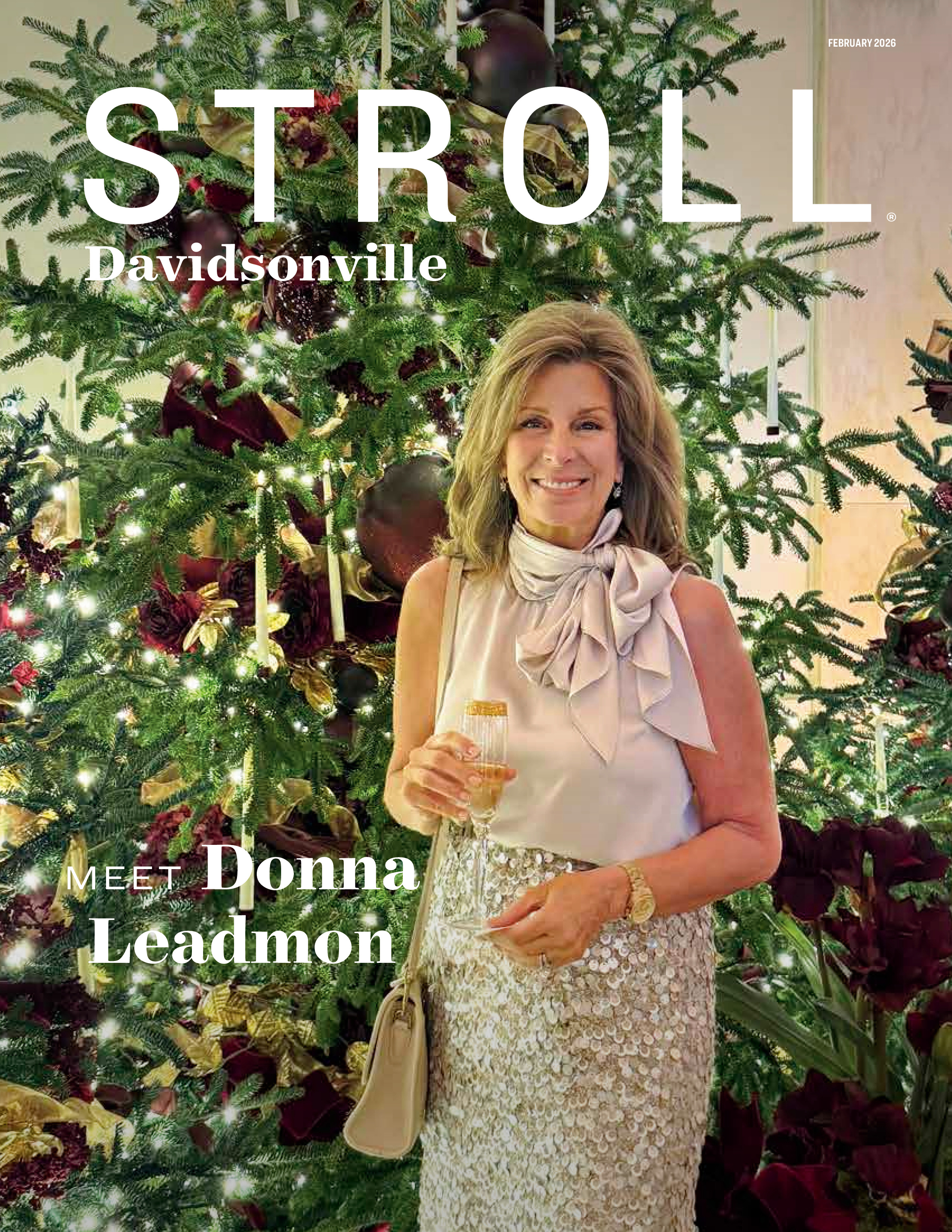 Stroll Davidsonville 2026-02-01