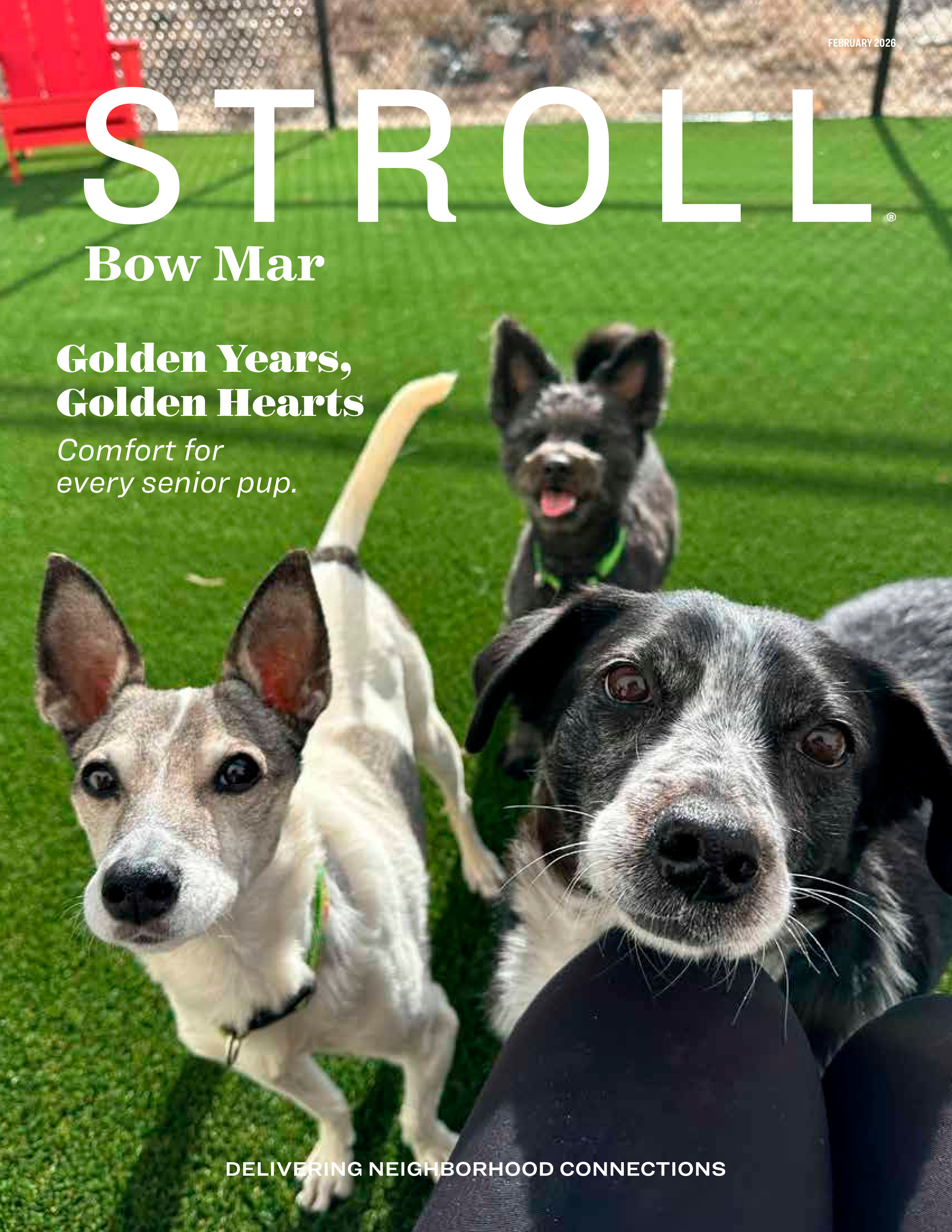 Stroll Bow Mar 2026-02-01