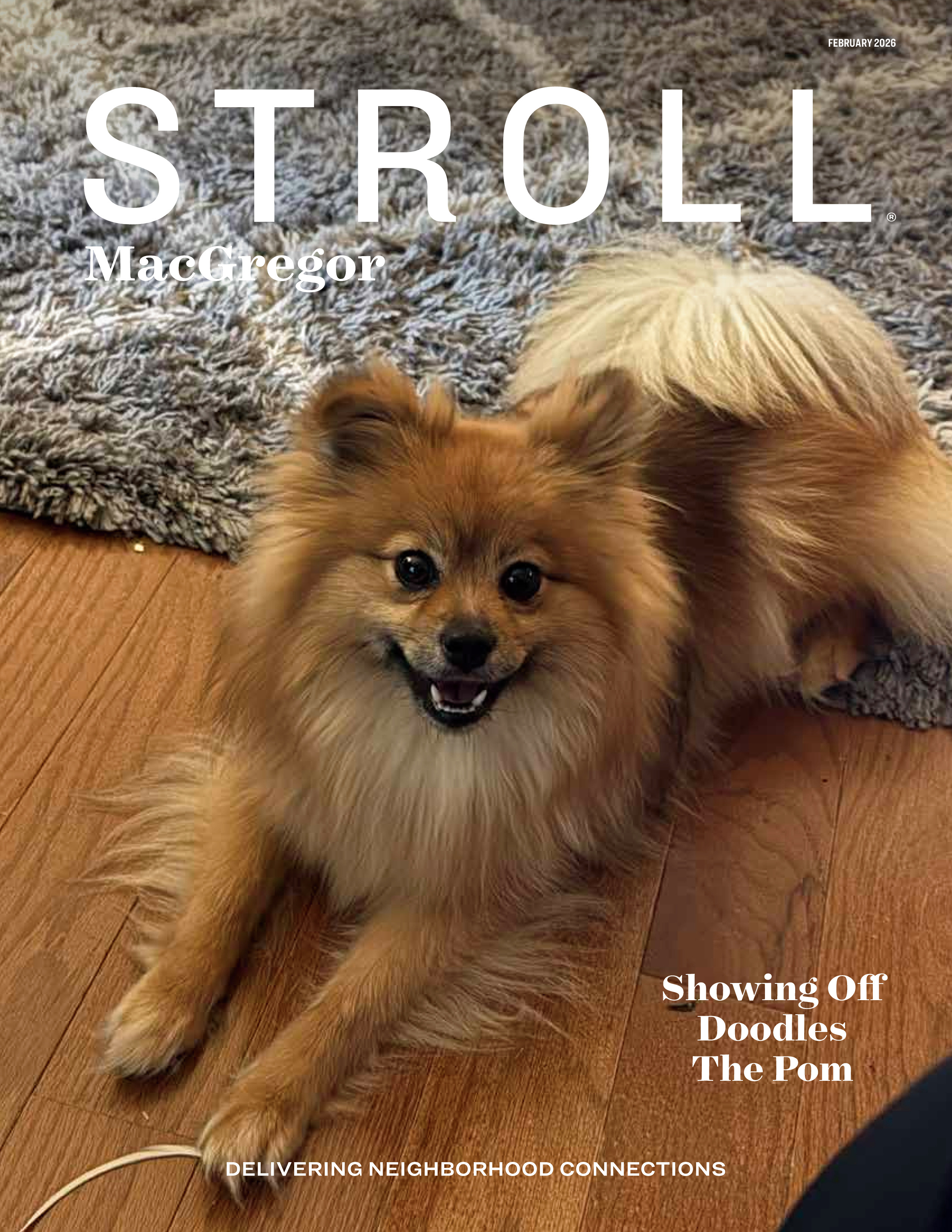 Stroll MacGregor 2026-02-01