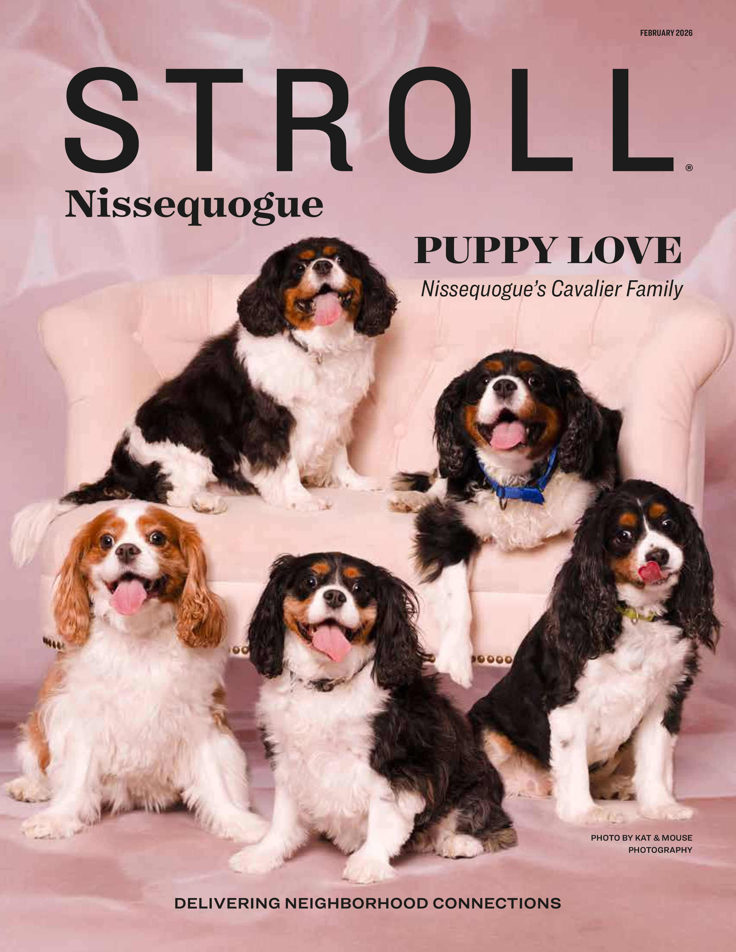 Stroll Nissequogue 2026-02-01