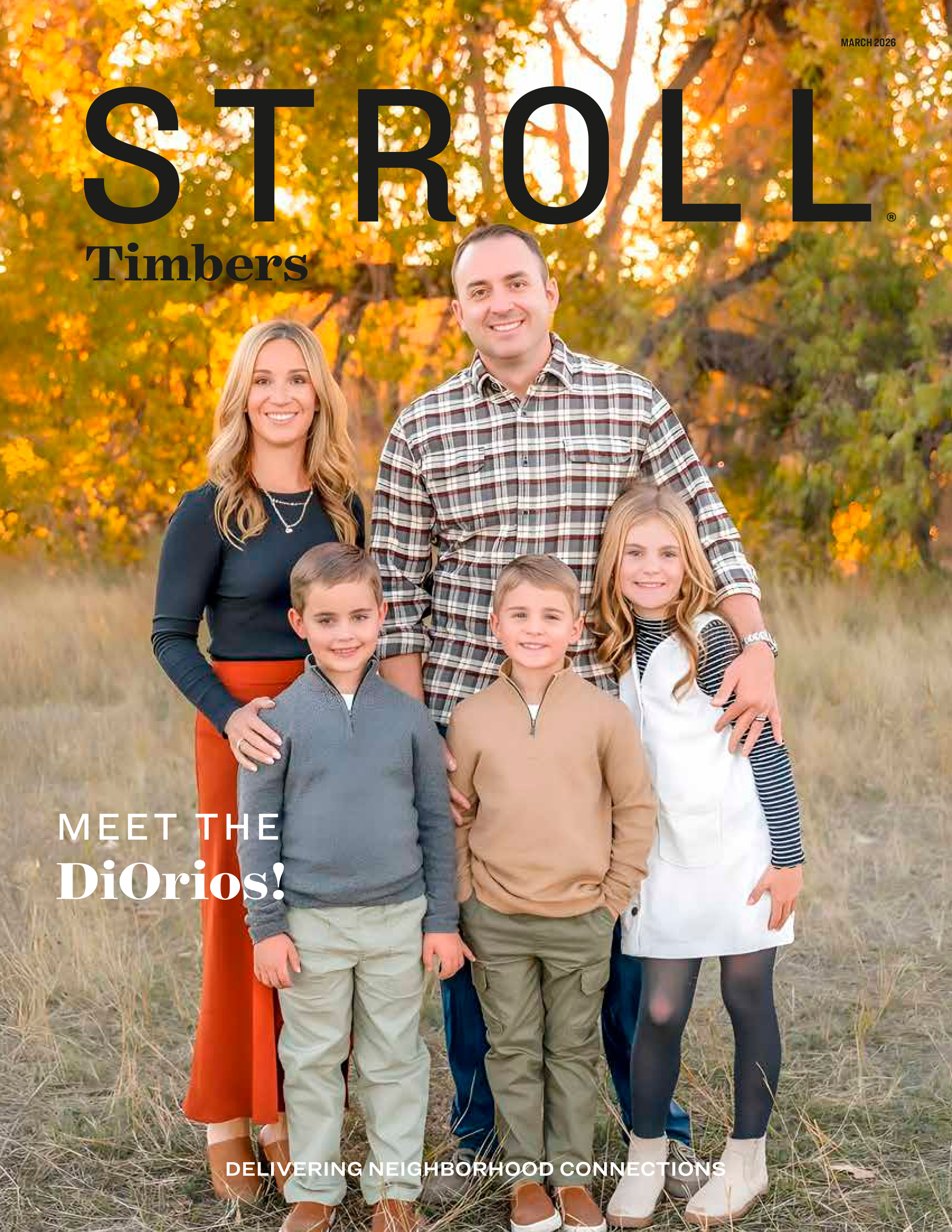 Stroll Timbers 2026-03-01