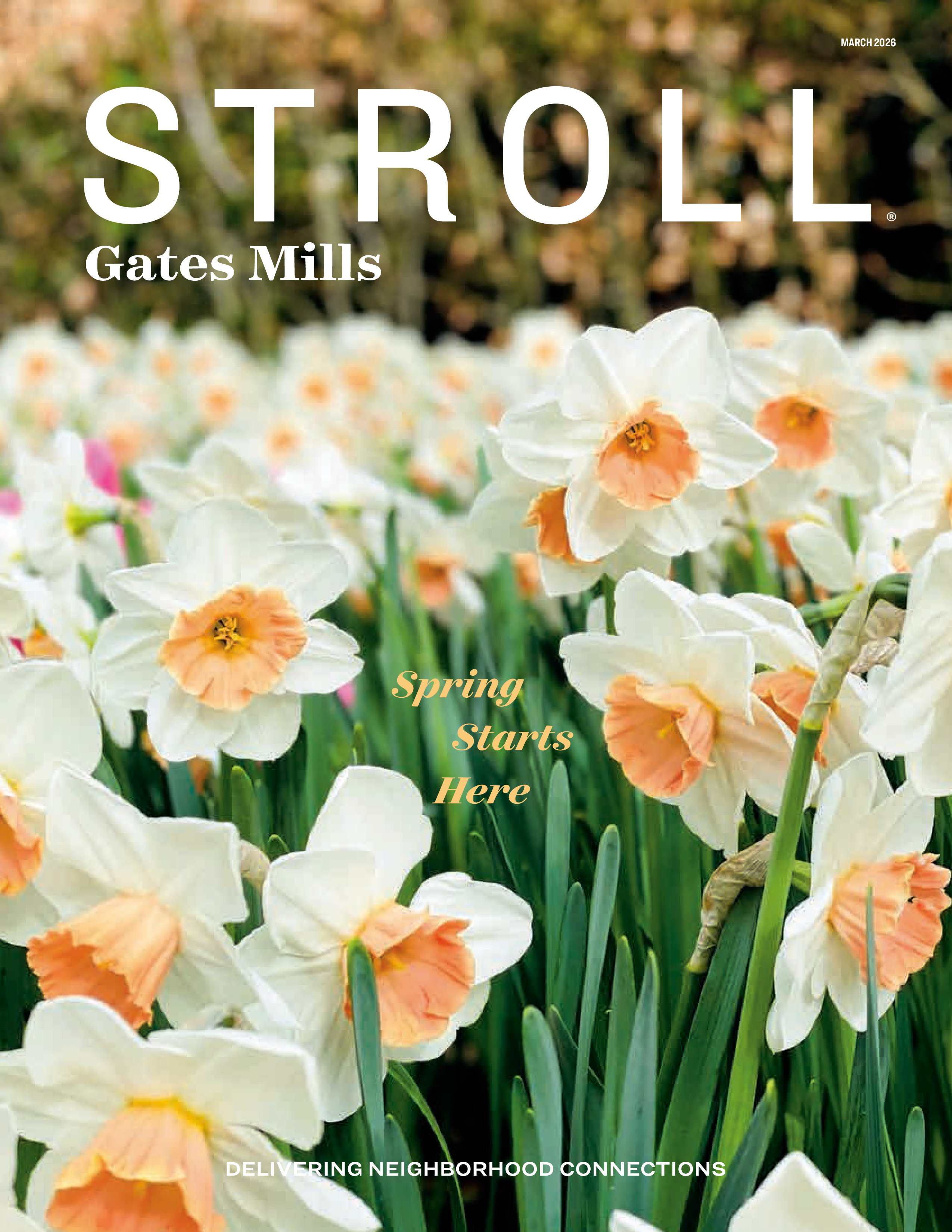 Stroll Gates Mills 2026-03-01