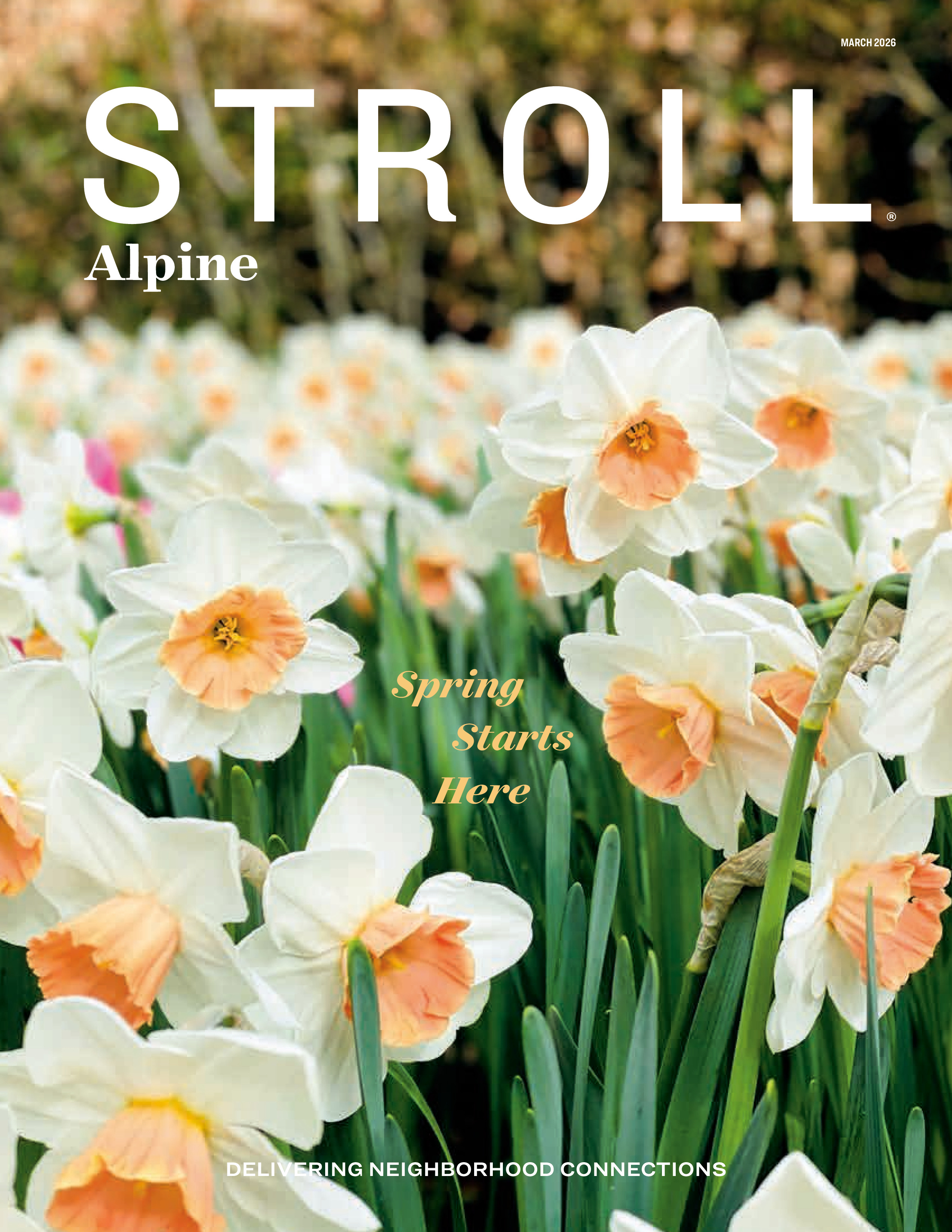 Stroll Alpine 2026-03-01