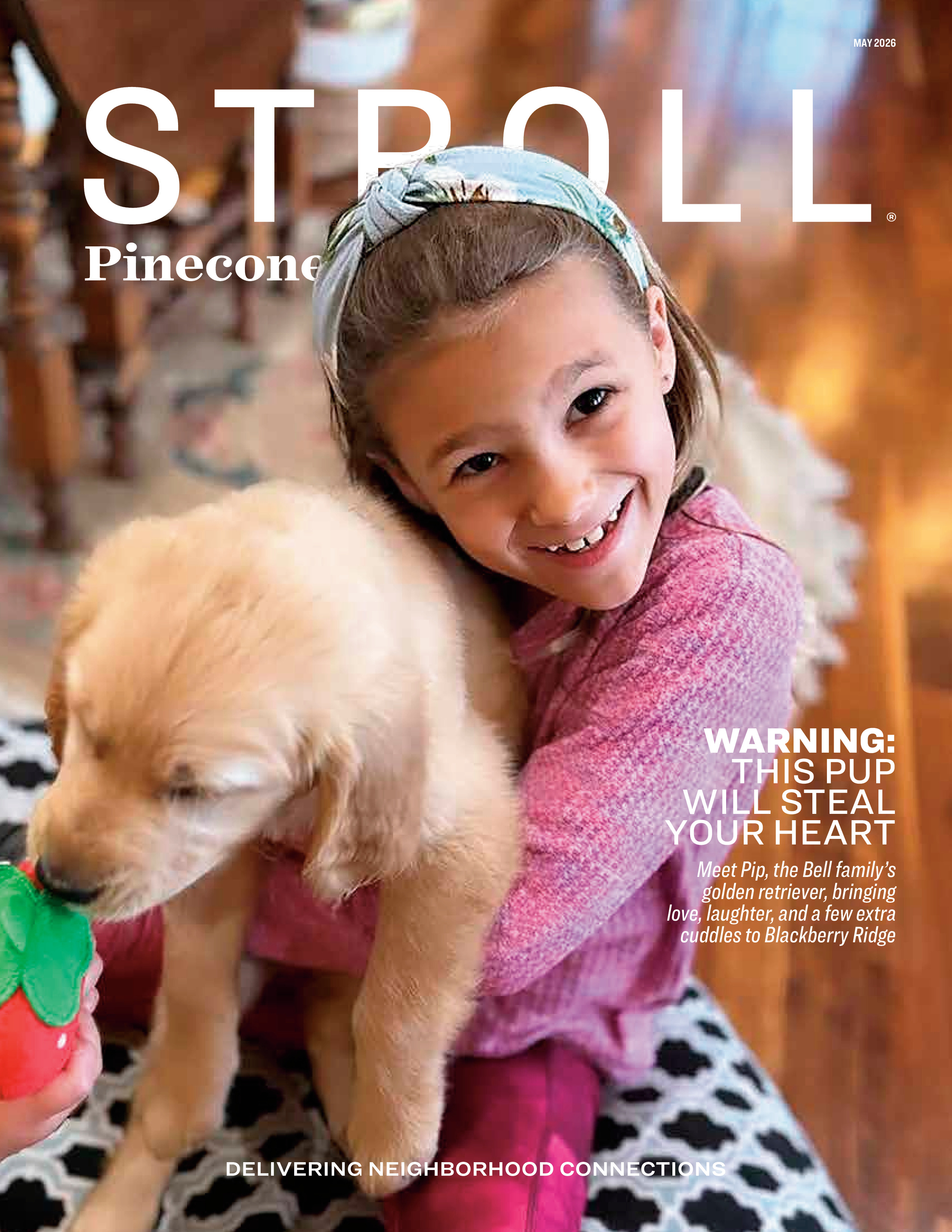 Stroll Pinecone Connection 2026-05-01