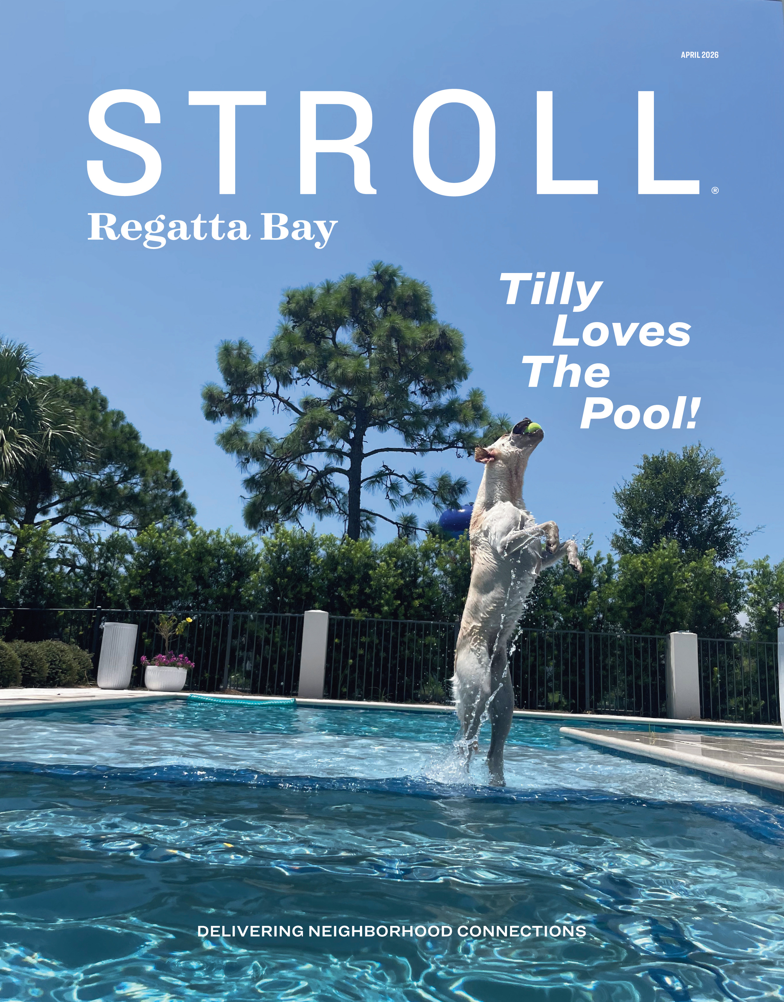 Stroll Regatta Bay 2026-04-01