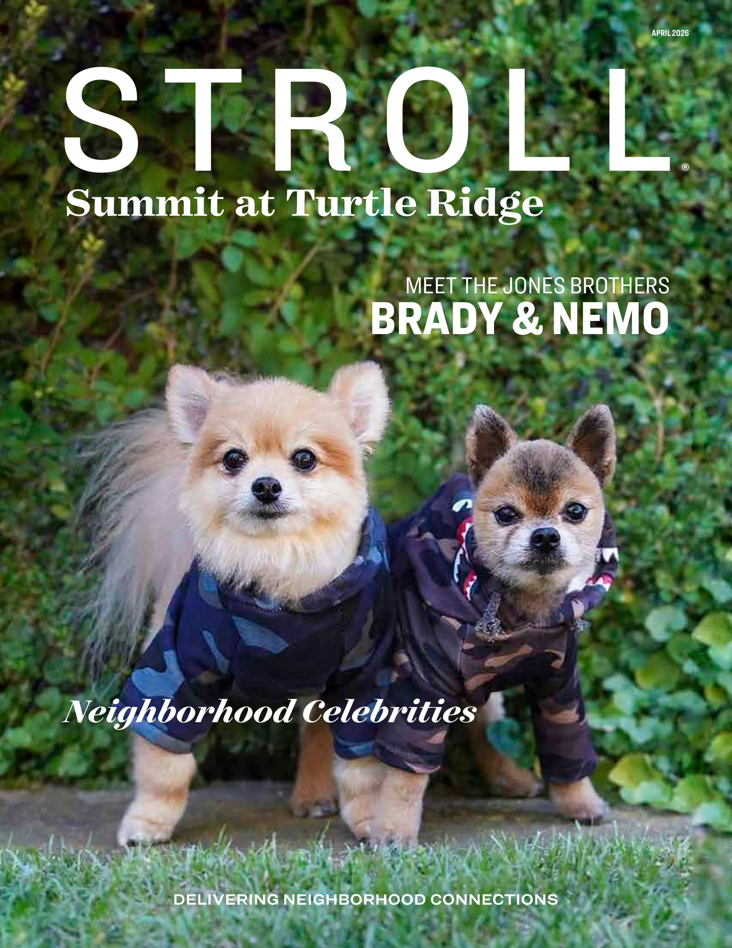 Stroll Summit at Turtle Ridge 2026-04-01