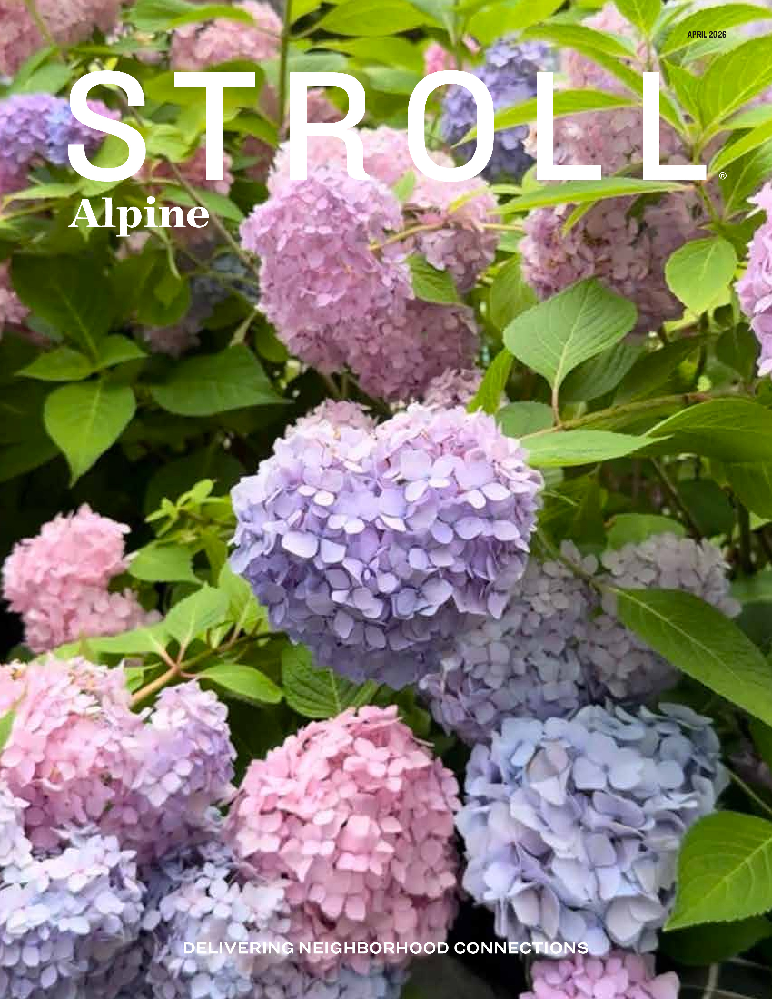 Stroll Alpine 2026-04-01