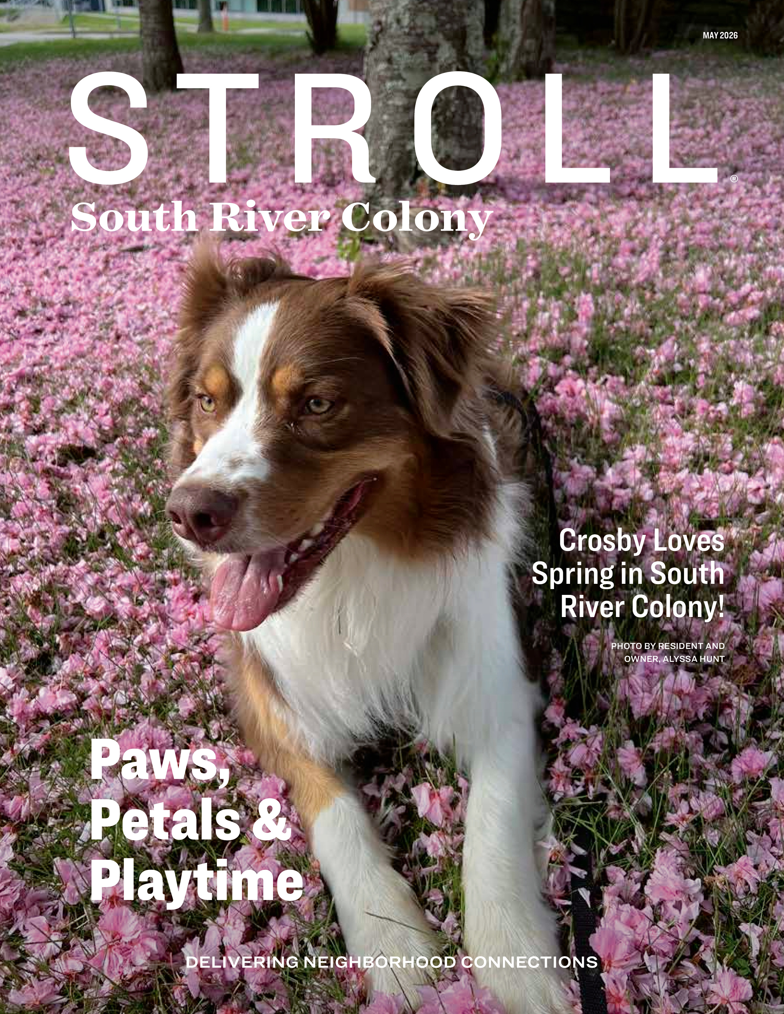 Stroll South River Colony 2026-05-01