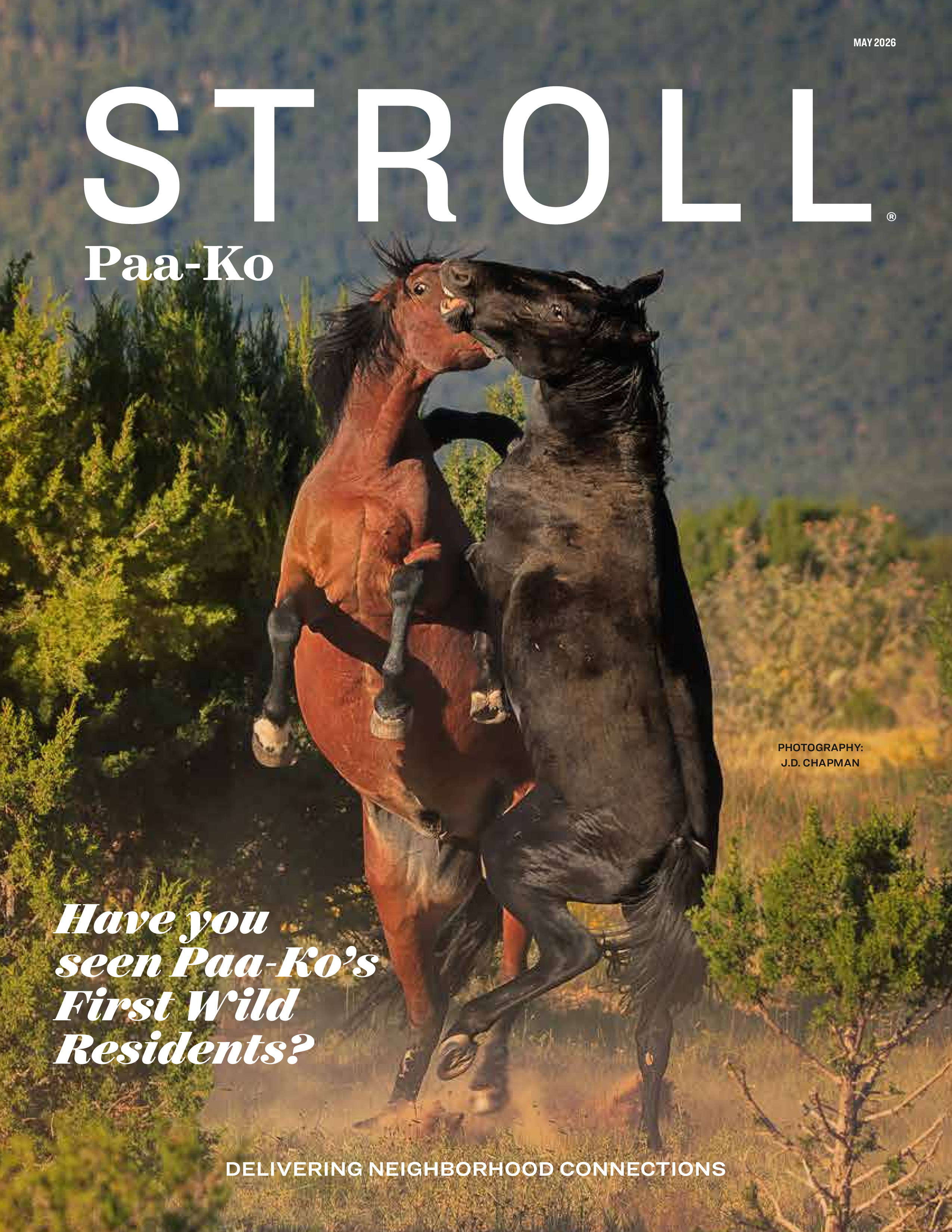 Stroll Paa-Ko 2026-05-01