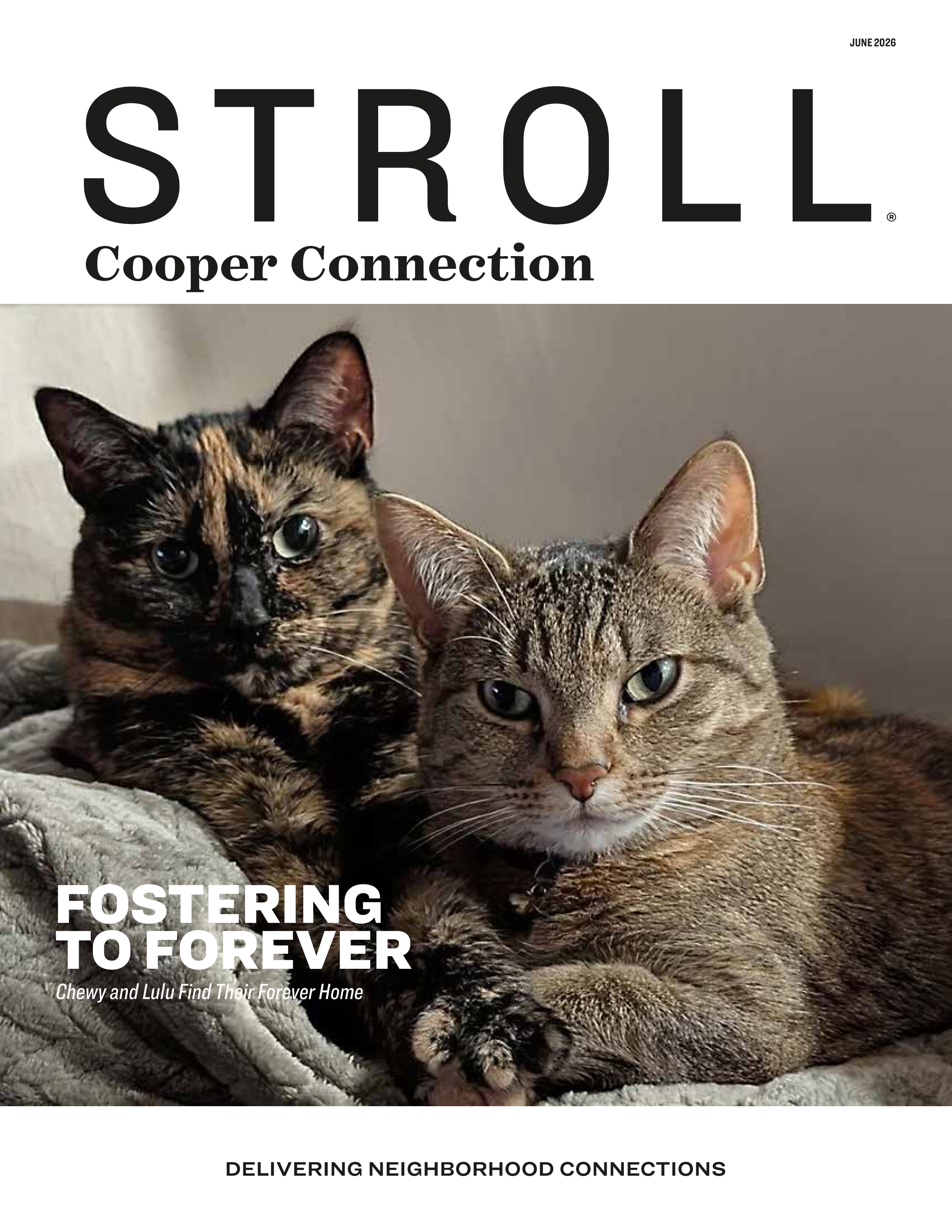 Stroll Cooper Connection 2026-06-01