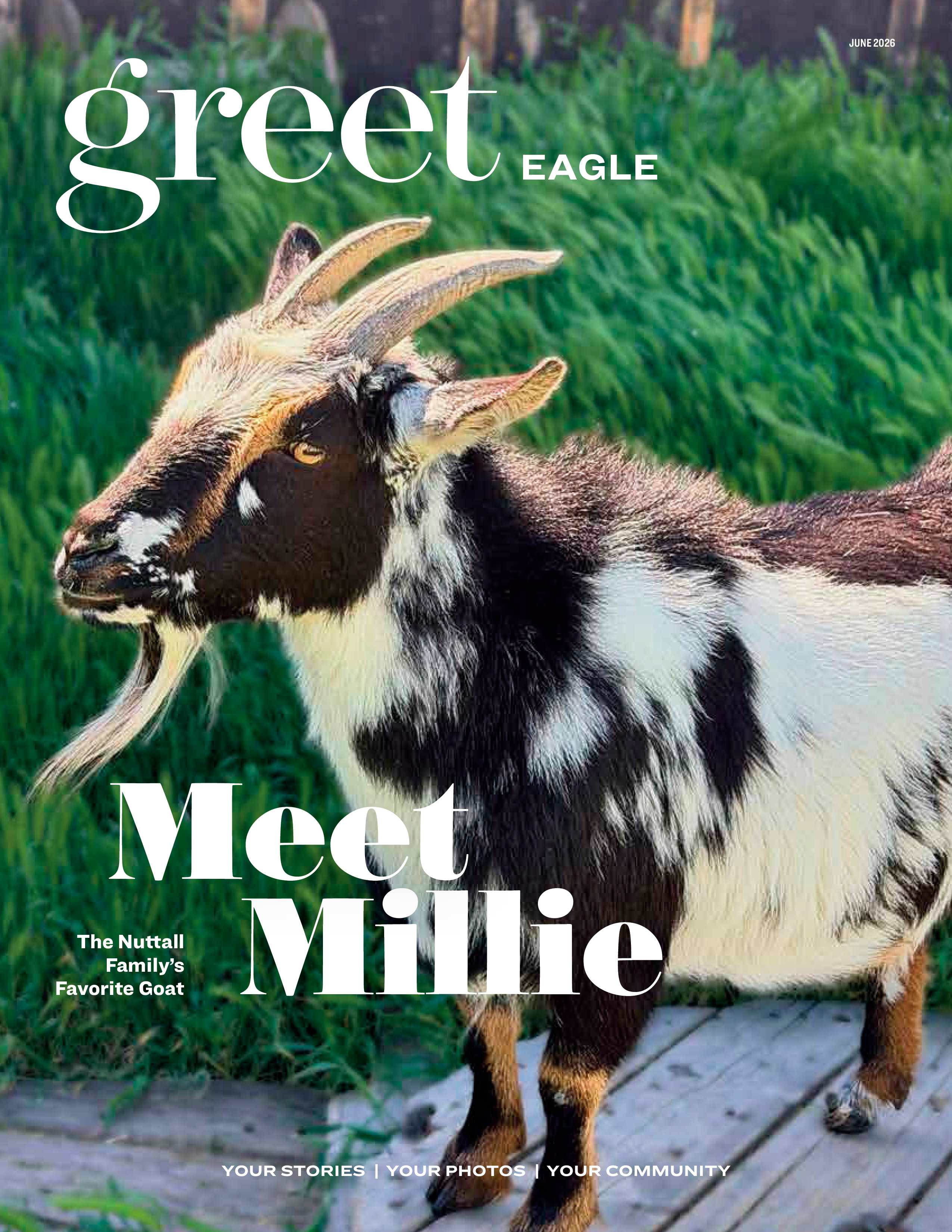 Greet Eagle 2026-06-01