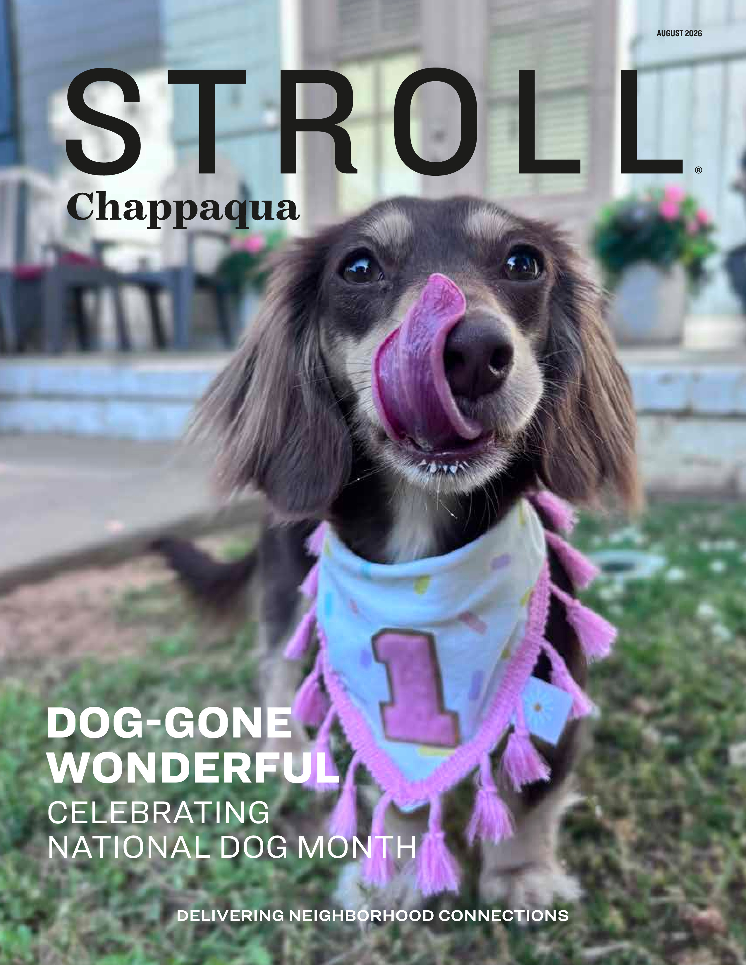 Stroll Chappaqua 2026-08-01