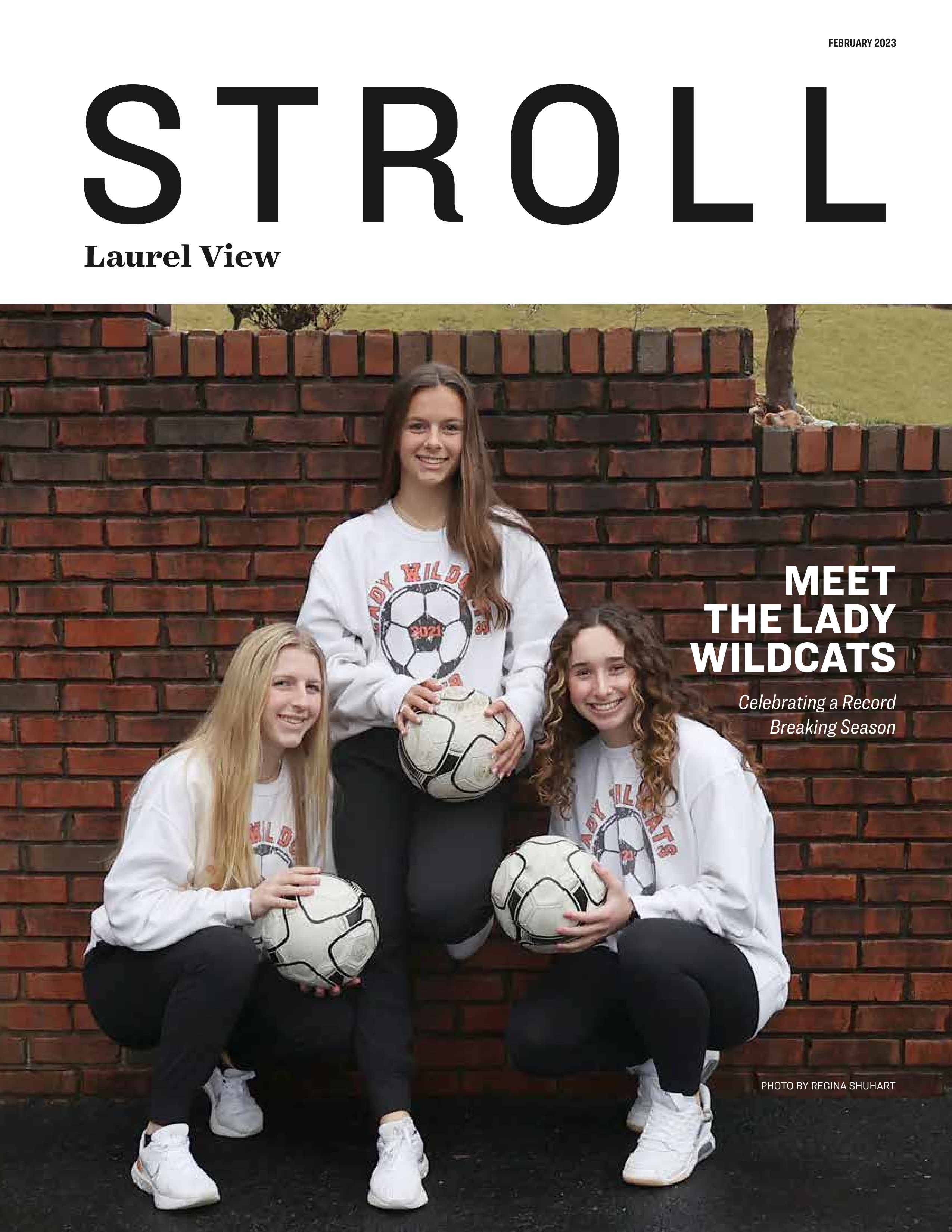 Stroll Magazine Lago de Vita, Timbercrest, GlennAire and nearby